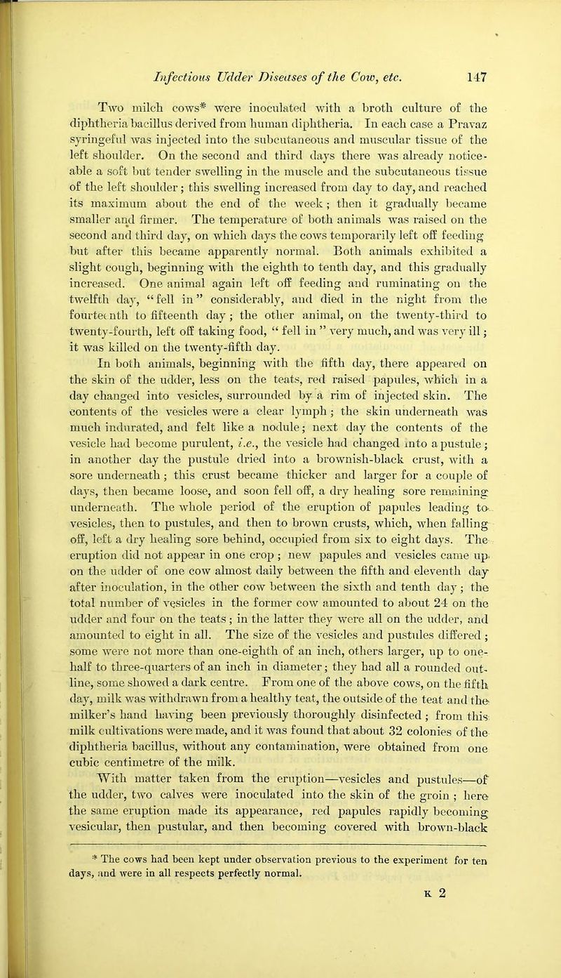 Two milch cows* were iuoculated with a broth culture of the diphtheria bacillus derived from human diphtheria. In each case a Pravaz syringeful was injected into the subcutaneous and muscular tissue of the left shoulder. On the second and third days there was already notice- able a soft but tender swelling in the muscle and the subcutaneous tissue of the left shoulder; this swelling increased from day to day, and reached its maximum about the end of the week ; then it gradually became smaller and firmer. The temperature of both animals was raised on the second and third day, on which days the cows temporarily left off feeding but after this became apparently normal. Both animals exhibited a slight cough, beginning with the eighth to tenth day, and this gradually increased. One animal again left off feeding and ruminating on the twelfth day, “ fell in ” considerably, and died in the night from the fourtec nth to fifteenth day ; the other animal, on the twenty-third to twenty-fourth, left off taking food, “ fell in ” veiy much, and was very ill; it was killed on the twenty-fifth day. In both animals, beginning with the fifth day, there appeared on the skin of the udder, less on the teats, red raised papules, which in a day changed into vesicles, surrounded by a rim of injected skin. The contents of the vesicles were a clear lymph j the skin underneath was much indurated, and felt like a nodule; next day the contents of the vesicle had become purulent, i.e., the vesicle had changed into a pustule; in another day the pustule dried into a brownish-black crust, with a sore underneath ; this crust became thicker and larger for a couple of days, then became loose, and soon fell off, a dry healing sore remaining underneath. The whole period of the eruption of papules leading tO' vesicles, then to pustules, and then to brown crusts, which, when falling off, left a dry healing sore behind, occupied from six to eight days. The eruption did not appejir in one crop ; new papules and vesicles came up. on the udder of one cow almost daily between the fifth and eleventh day after inoculation, in the other cow between the sixth and tenth day; the total number of vesicles in the former cow amounted to about 24 on the udder and four on the teats; in the latter they were all on the udder, and amounted to eight in all. The size of the vesicles and pustules differed ; some were not more than one-eighth of an inch, others larger, np to one- half to three-quarters of an inch in diameter; they had all a rounded out- line, some showed a dark centre. From one of the above cows, on the fifth day, milk was withdrawn from a healthy teat, the outside of the teat and the' milker’s hand having been previously thoroughly disinfected; from this: milk cultivations were made, and it was found that about 32 colonies of the diphtheria bacillus, without any contamination, were obtained from one cubic centimetre of the milk. With matter taken from the eruption—vesicles and pustules—of the udder, two calves were inoculated into the skin of the groin ; here the same eruption made its appearance, red papules rapidly becoming vesicular, then pustular, and then becoming covered with brown-black * The cows had been kept under observation previous to the experiment for ten day.s, !ind were in all respects perfectly normal. K 2