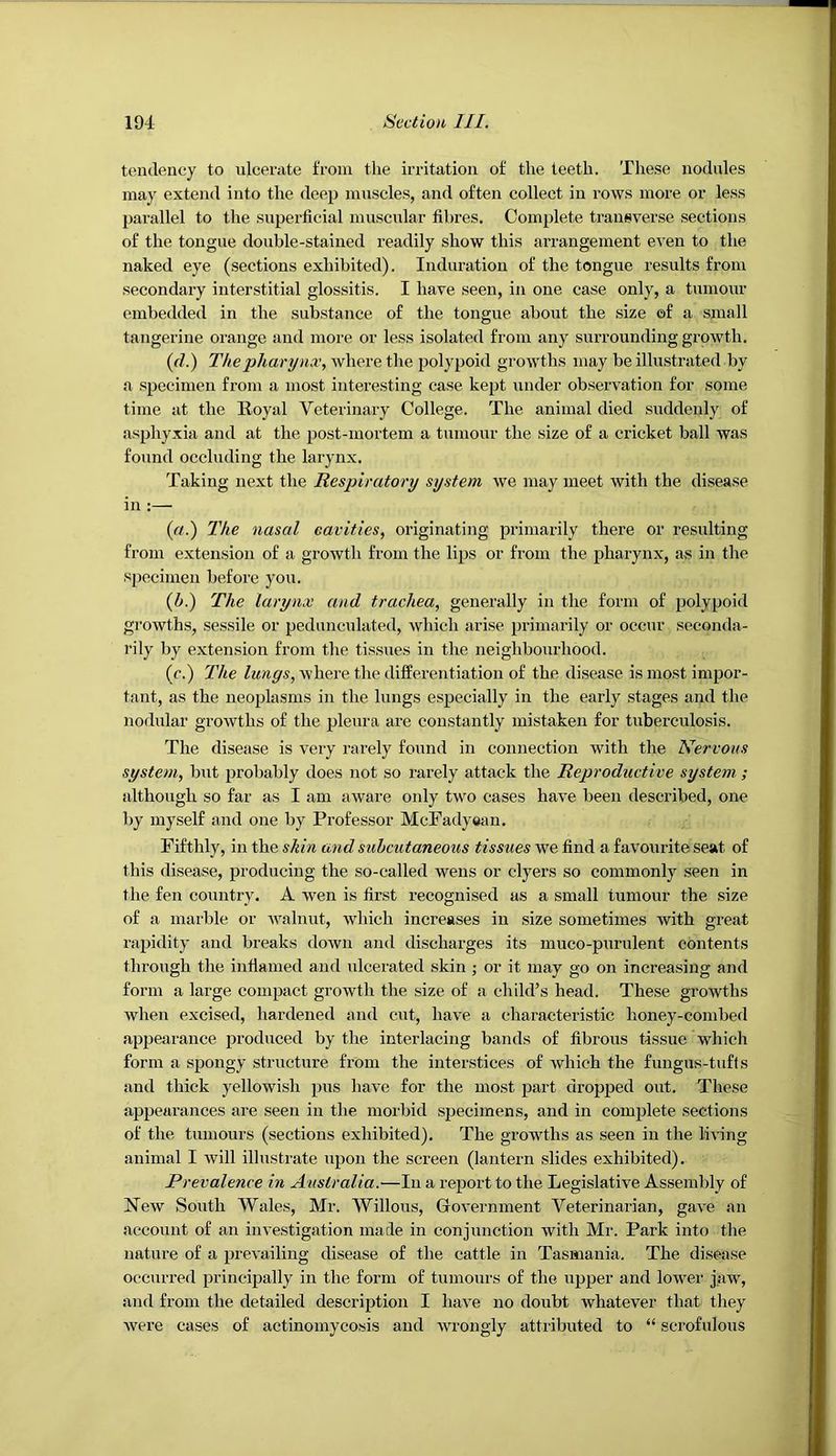 tendency to ulcei’.ite from the irritation of the teeth. The.se nodules may extend into the deep muscles, and often collect in rows more or less parallel to the superficial muscular fibres. Complete transverse sections of the tongue double-stained readily show this arrangement even to the naked eye (sections exhibited). Induration of the tongue results from secondary interstitial glossitis. I have seen, in one case only, a tumour embedded in the substance of the tongue about the size ©f a small tangerine orange and more or less isolated from any surrounding growth. {(1.) Thephanjna:, Avhere the polypoid growths may be illustrated by a specimen from a most interesting case kept under observation for some time at the Royal Veterinary College. The animal died suddenly of asphyxia and at the post-mortem a tumour the size of a cricket ball was found occluding the larynx. Taking next the Respiratory system we may meet with the disease in :— {a.) The nasal eavities, originating primarily there or resulting from extension of a growth from the lips or from the pharynx, as in the specimen before you. (b.) The larynx and trachea, generally in the form of polypoid growths, sessile or pedunculated, which arise primarily or occur seconda- rily by extension from the tissues in the neighbourhood. (c.) The lungs, where the differentiation of the disease is most impor- tant, as the iieoplasms in the lungs especially in the early .stages and the nodular growths of the pleura are constantly mistaken for tuberculosis. The disease is very rarely found in connection with the Nervous system, but probably does not so rarely attack the Reproductive system; although so far as I am aware only two cases have been described, one by myself and one by Professor McFadyean, Fifthly, in the shin and subcutaneous tissues we find a favourite seat of this disease, producing the so-called wens or dyers so commonly seen in the fen country. A wen is first recognised as a small tumour the size of a marble or Avalnut, which increases in size sometimes with great rapidity and breaks down and discharges its muco-purulent contents through the inflamed and ulcerated skin ; or it may go on increasing and form a large compact growth the size of a child’s head. These growths when excised, hardened and cut, have a characteristic honey-combed appearance produced by the interlacing bands of fibrous tissue which form a spongy structure from the interstices of which the fungus-tufts and thick yellowish pus have for the most part dropped out. These appearances are seen in the morbid .specimens, and in complete sections of the tumours (sections exhibited). The growths as seen in the living animal I will illustrate upon the screen (lantern slides exhibited). Prevalence in Australia.—In a report to the Legislative Assembly of New South Wales, Mr. Willous, Government Veterinarian, gave an account of an investigation made in conjunction with Mr. Park into the nature of a prevailing disease of the cattle in Tasmania. The disease occurred principally in the form of tumours of the upper and lower jaw, and from the detailed description I have no doubt whatever that they were cases of actinomycosis and wrongly attributed to “ scrofulous