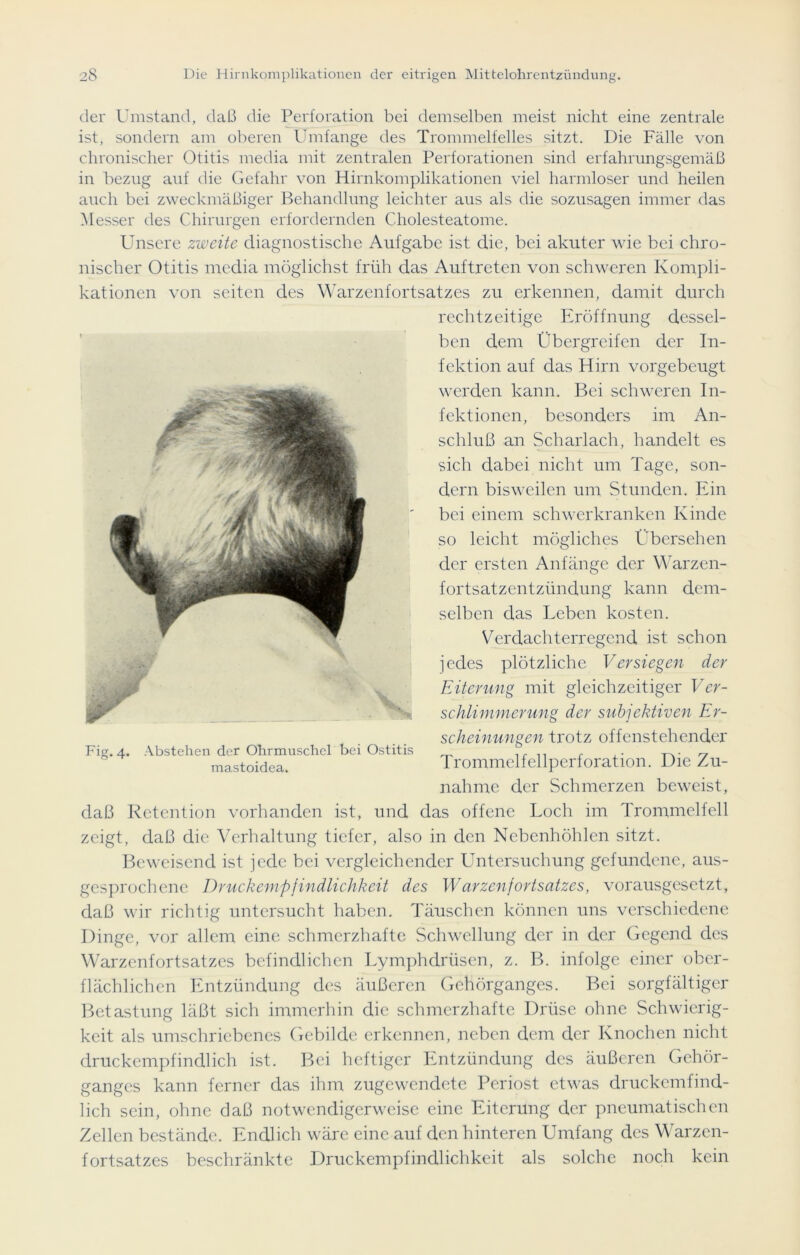 der Umstand, daß die Perforation bei demselben meist nicht eine zentrale ist, sondern am oberen Umfange des Trommelfelles sitzt. Die Fälle von chronischer Otitis media mit zentralen Perforationen sind erfahrungsgemäß in bezug auf die Gefahr von Hirnkomplikationen viel harmloser und heilen auch bei zweckmäßiger Behandlung leichter aus als die sozusagen immer das Messer des Chirurgen erfordernden Cholesteatome. Unsere zweite diagnostische Aufgabe ist die, bei akuter wie bei chro- nischer Otitis media möglichst früh das Auftreten von schweren Kompli- kationen von seiten des Warzenfortsatzes zu erkennen, damit durch rechtzeitige Eröffnung dessel- ben dem Üb ergreifen der In- fektion auf das Hirn vorgebeugt werden kann. Bei schweren In- fektionen, besonders im An- schluß an Scharlach, handelt es sich dabei nicht um Tage, son- dern bisweilen um Stunden. Ein bei einem schwer kranken Kinde so leicht mögliches Übersehen der ersten Anfänge der Warzen- fortsatzentzündung kann dem- selben das Leben kosten. Verdachterregend ist schon jedes plötzliche Versiegen der Eiterung mit gleichzeitiger Ver- schlimmerung der subjektiven Er- scheinungen trotz offenstehender Trommelfellperforation. Die Zu- nahme der Schmerzen beweist, daß Retention vorhanden ist, und das offene Loch im Trommelfell zeigt, daß die Verhaltung tiefer, also in den Nebenhöhlen sitzt. Beweisend ist jede bei vergleichender Untersuchung gefundene, aus- gesprochene Druckempfindlichkeit des Warzenfortsatzes, vorausgesetzt, daß wir richtig untersucht haben. Täuschen können uns verschiedene Dinge, vor allem eine schmerzhafte Schwellung der in der Gegend des Warzenfortsatzes befindlichen Lymphdrüsen, z. B. infolge einer ober- flächlichen Entzündung des äußeren Gehörganges. Bei sorgfältiger Betastung läßt sich immerhin die schmerzhafte Drüse ohne Schwierig- keit als umschriebenes Gebilde erkennen, neben dem der Knochen nicht druckempfindlich ist. Bei heftiger Entzündung des äußeren Gehör- ganges kann ferner das ihm zugewendete Periost etwas druckemfind- lich sein, ohne daß notwendigerweise eine Eiterung der pneumatischen Zellen bestände. Endlich wäre eine auf den hinteren Umfang des Warzen- fortsatzes beschränkte Druckempfindlichkeit als solche noch kein Fig. 4. Abstehen der Ohrmuschel bei Ostitis mastoidea.