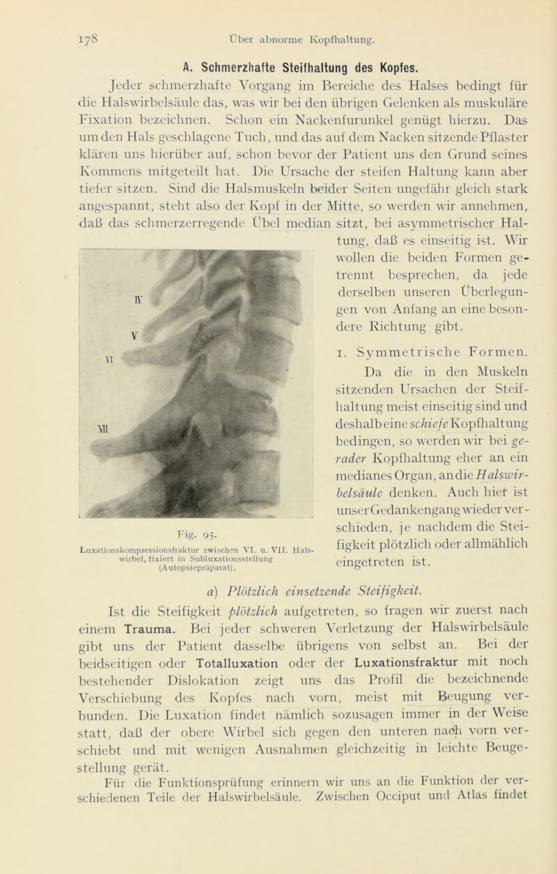 A. Schmerzhafte Steifhaltung des Kopfes. Jeder schmerzhafte Vorgang im Bereiche des Halses bedingt für die Halswirbelsänle das, was wir bei den übrigen Gelenken als muskuläre Fixation bezeichnen. Schon ein Nackenfurunkel genügt hierzu. Das um den Hals geschlagene Tuch, und das auf dem Nacken sitzende Pflaster klären uns hierüber auf, schon bevor der Patient uns den Grund seines Kommens mitgeteilt hat. Die Ursache der steifen Haltung kann aber tiefer sitzen. Sind die Halsmuskeln beider Seiten ungefähr gleich stark angespannt, steht also der Kopf in der Mitte, so werden wir annehmen, daß das schmerzerregende Übel median sitzt, bei asymmetrischer Hal- tung, daß es einseitig ist. Wir wollen die beiden Formen ge- trennt besprechen, da jede derselben unseren Überlegun- gen von Anfang an eine beson- dere Richtung gibt. i. Symmetrische Formen. Da die in den Muskeln sitzenden Ursachen der Steif- haltung meist einseitig sind und deshalb eine schiefe Kopfhaltung bedingen, so werden wir bei ge- rader Kopfhaltung eher an ein medianes Organ, an die Halswir- belsäule denken. Auch hier ist unser Gedankengang wieder ver- schieden, je nachdem die Stei- figkeit plötzlich oder allmählich eingetreten ist. a) Plötzlich einsetzende Steifigkeit. Ist die Steifigkeit plötzlich aufgetreten, so fragen wir zuerst nach einem Trauma. Bei jeder schweren Verletzung der Halswirbelsäule gibt uns der Patient dasselbe übrigens von selbst an. Bei der beidseitigen oder Totalluxation oder der Luxationsfraktur mit noch bestehender Dislokation zeigt uns das Profil die bezeichnende Verschiebung des Kopfes nach vorn, meist mit Beugung ver- bunden. Die Luxation findet nämlich sozusagen immer in der Weise statt, daß der obere Wirbel sich gegen den unteren nach vorn ver- schiebt und mit wenigen Ausnahmen gleichzeitig in leichte Beuge- stellung gerät. Für die Funktionsprüfung erinnern wir uns an die Funktion der ver- schiedenen Teile der Halswirbelsäule. Zwischen Occiput und Atlas findet Fig. 95- Luxationskompressionsfraktur zwischen VI. u. VII. Hals- wirbel, fixiert in Subluxationsstellung (Autopsiepräparat).