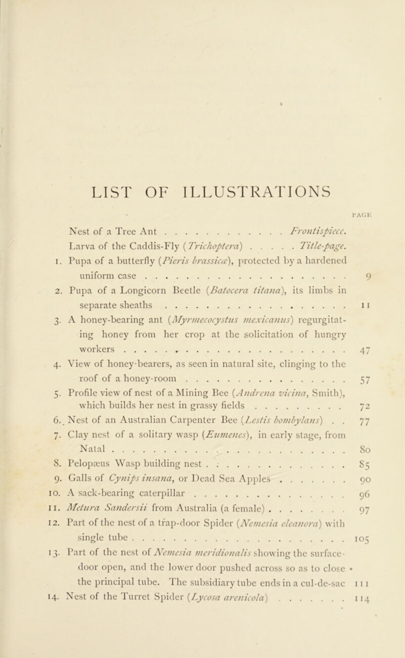 LIST OF ILLUSTRATIONS Nest of a Tree Ant Frontispiece. Larva of the Caddis-Fly (Triehoptera) Title-page. 1. Pupa of a butterfly (Pier is brassieee), protected by a hardened uniform case 2. Pupa of a Longicorn Beetle (Batocera titana), its limbs in separate sheaths 3. A honey-bearing ant (.Myrmecocystus mexicanus) regurgitat- ing honey from her crop at the solicitation of hungry workers 4. View of honey-bearers, as seen in natural site, clinging to the roof of a honey-room . Profile view of nest of a Mining Bee (Audrena vicina, Smith), which builds her nest in grassy fields 6., Nest of an Australian Carpenter Bee (Testis bombylans) . . 7. Clay nest of a solitary wasp (Eumcnes), in early stage, from Natal 8. Pelopoeus Wasp building nest . 9. Galls of Cynips insana, or Dead Sea Apples 10. A sack-bearing caterpillar 11. Metura Sandersii from Australia (a female) 12. Part of the nest of a trap-door Spider (Nemesia eleanora) with single tube 13- Part of the nest of Neinesia meridiona/is showing the surface- door open, and the lower door pushed across so as to close the principal tube. The subsidiary tube ends in a cul-de-sac 14. Nest of the Turret Spider (Lyeosa arenicola) l'AGK 9 11 47 57 77 80 S5 90 96 97 105 111 114