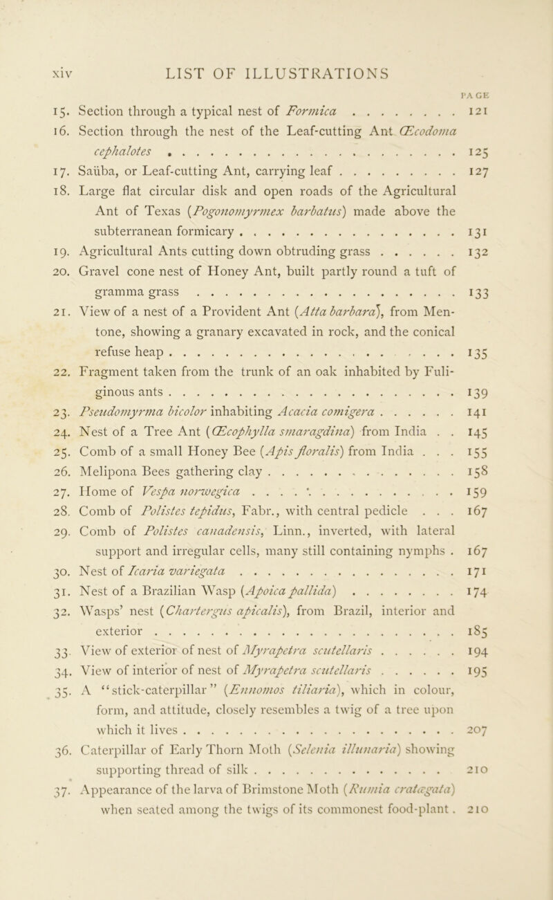 PA GE 15. Section through a typical nest of Formica 121 16. Section through the nest of the Leaf-cutting Ant CEcodoma cephalotes 125 17. Saiiba, or Leaf-cutting Ant, carrying leaf 127 18. Large flat circular disk and open roads of the Agricultural Ant of Texas (Pogonomyrmex barbatus) made above the subterranean formicary . 131 19. Agricultural Ants cutting down obtruding grass 132 20. Gravel cone nest of Honey Ant, built partly round a tuft of gramma grass 133 21. View of a nest of a Provident Ant (Atta barbara), from Men- tone, showing a granary excavated in rock, and the conical refuse heap 135 22. Fragment taken from the trunk of an oak inhabited by Fuli- ginous ants 139 23. Psendomyrma bicolor inhabiting Acacia comigera 141 24. Nest of a Tree Ant (CEcophylla smaragdina) from India . . 145 25. Comb of a small Honey Bee (Apis jloralis) from India ... 155 26. Melipona Bees gathering clay 158 27. Home of Vespa norwegica 159 28. Comb of Polistes tepidus, Fabr., with central pedicle ... 167 29. Comb of Polistes canadensis, Linn., inverted, with lateral support and irregular cells, many still containing nymphs . 167 30. Nest of Icaria variegata 171 31. Nest of a Brazilian Wasp [Apoica pallida) 174 32. Wasps’ nest (Chartergus apicalis), from Brazil, interior and exterior 185 33. View of exterior of nest of Myrapetra scntellaris 194 34. View of interior of nest of Myrapetra scntellaris 195 35. A “stick-caterpillar” (Ennomos tiliaria), which in colour, form, and attitude, closely resembles a twig of a tree upon which it lives 207 36. Caterpillar of Early Thorn Moth (,Selenia illunaria) showing supporting thread of silk 210 37. Appearance of the larva of Brimstone Moth (Rumia cratcrgata) when seated among the twigs of its commonest food-plant . 210