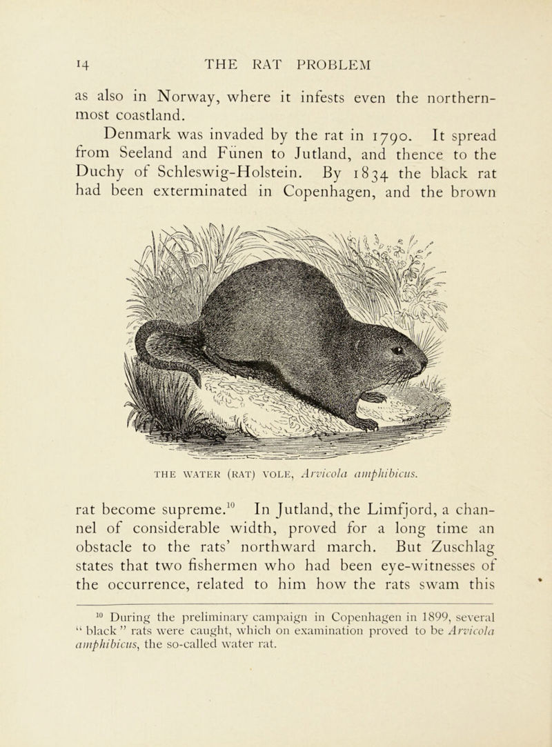 as also in Norway, where it infests even the northern- most coastland. Denmark was invaded by the rat in 1790. It spread from Seeland and Funen to Jutland, and thence to the Duchy of Schleswig-Holstein. By 1834 the black rat had been exterminated in Copenhagen, and the brown the water (rat) vole, Arvicola amphibious. rat become supreme.1 In Jutland, the Limfjord, a chan- nel of considerable width, proved for a long time an obstacle to the rats’ northward march. But Zuschlag states that two fishermen who had been eye-witnesses of the occurrence, related to him how the rats swam this 10 During the preliminary campaign in Copenhagen in 1899, several “ black ” rats were caught, which on examination proved to be Arvicola amphibious, the so-called water rat.