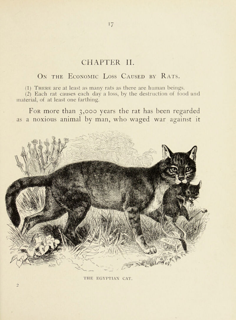 CHAPTER II. On the Economic Loss Caused by Rats. (1) There are at least as many rats as there are human beings. (2) Each rat causes each day a loss, by the destruction of food and material, of at least one farthing. For more than 3,000 years the rat has been regarded as a noxious animal by man, who waged war against it THE EGYPTIAN CAT. o