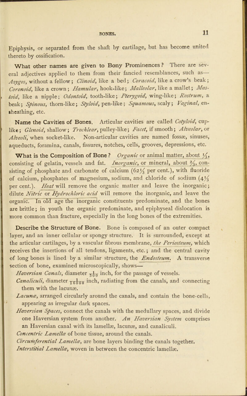 BONES. Epiphysis, or separated from the shaft by cartilage, but has become united thereto by ossification. What other names are given to Bony Prominences ? There are sev- eral adjectives applied to them from their fancied resemblances, such as— Azygos, without a fellow ; Clinoid, like a bed; Coracoid, like a crow’s beak ; Coronoid, like a crown; Hamular, hook-like; Malleolar, like a mallet; Mas- toid, like a nipple; Odontoid, tooth-like; Pterygoid, wing-like; Rostrum, a beak; Spinous, thorn-like; Styloid, pen-like; Squamous, scaly; Vaginal, en- sheathing, etc. Name the Cavities of Bones. Articular cavities are called Cotyloid, cup- like; Glenoid, shallow; Trochlear, pulley-like; Facet, if smooth; Alveolar, ox Alveoli, when socket-like. Non-articular cavities are named fossae, sinuses, aqueducts, foramina, canals, fissures, notches, cells, grooves, depressions, etc. What is the Composition of Bone ? Organic or animal matter, about y£, consisting of gelatin, vessels and fat. Inorganic, or mineral, about ^3, con- sisting of phosphate and carbonate of calcium (621/3 per cent.), with fluoride of calcium, phosphates of magnesium, sodium, and chloride of sodium (4^ percent.). Heat will remove the organic matter and leave the inorganic; dilute Nitric or Hydrochloric acid will remove the inorganic, and leave the organic. In old age the inorganic constituents predominate, and the bones are brittle; in youth the organic predominate, and epiphyseal dislocation is more common than fracture, especially in the long bones of the extremities. Describe the Structure of Bone. Bone is composed of an outer compact layer, and an inner cellular or spongy structure. It is surrounded, except at the articular cartilages, by a vascular fibrous membrane, the Periosteum, which receives the insertions of all tendons, ligaments, etc.; and the central cavity of long bones is lined by a similar structure, the Endosteum. A transverse section of bone, examined microscopically, shows— Haversian Canals, diameter inch, for the passage of vessels. Canaliculi, diameter inch, radiating from the canals, and connecting them with the lacunae. Lacunce, arranged circularly around the canals, and contain the bone-cells, appearing as irregular dark spaces. Haversian Spaces, connect the canals with the medullary spaces, and divide one Haversian system from another. An Haversian System comprises an Haversian canal with its lamellae, lacunae, and canaliculi. Concentric Lamellce of bone tissue, around the canals. Circumferential Lamellce, are bone layers binding the canals together. Interstitial Lamellce, woven in between the concentric lamellae.