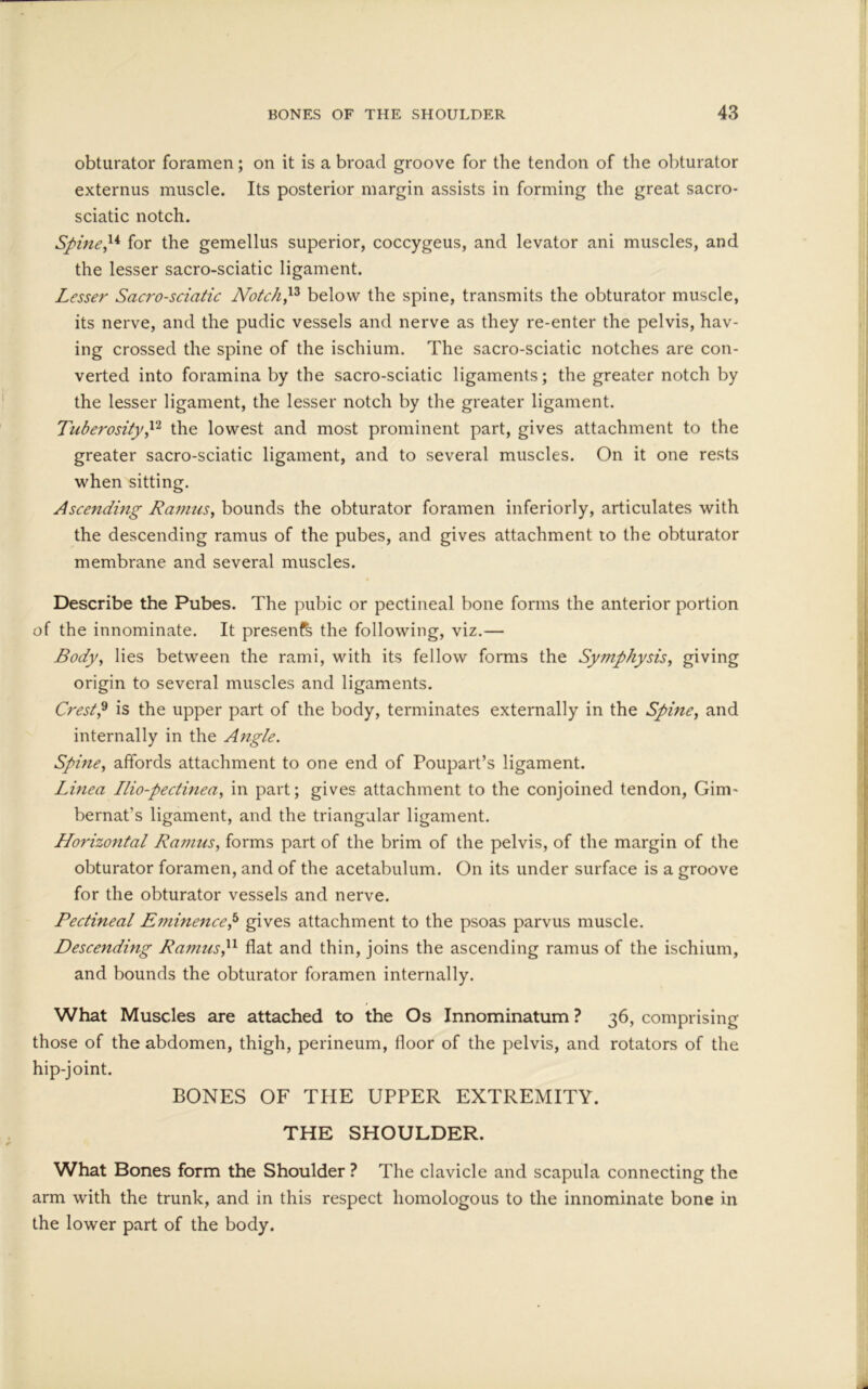 obturator foramen; on it is a broad groove for the tendon of the obturator externus muscle. Its posterior margin assists in forming the great sacro- sciatic notch. Spine,14 for the gemellus superior, coccygeus, and levator ani muscles, and the lesser sacro-sciatic ligament. Lesser Sacro-sciatic Notch,13 below the spine, transmits the obturator muscle, its nerve, and the pudic vessels and nerve as they re-enter the pelvis, hav- ing crossed the spine of the ischium. The sacro-sciatic notches are con- verted into foramina by the sacro-sciatic ligaments; the greater notch by the lesser ligament, the lesser notch by the greater ligament. Tuberosity,12 the lowest and most prominent part, gives attachment to the greater sacro-sciatic ligament, and to several muscles. On it one rests when sitting. Ascending Raimis, bounds the obturator foramen inferiorly, articulates with the descending ramus of the pubes, and gives attachment to the obturator membrane and several muscles. Describe the Pubes. The pubic or pectineal bone forms the anterior portion of the innominate. It present's the following, viz.— Body, lies between the rami, with its fellow forms the Symphysis, giving origin to several muscles and ligaments. Crest,9 is the upper part of the body, terminates externally in the Spine, and internally in the Angle. Spine, affords attachment to one end of Poupart’s ligament. Linea Ilio-pectinea, in part; gives attachment to the conjoined tendon, Gim- bernat’s ligament, and the triangular ligament. Horizontal Ramus, forms part of the brim of the pelvis, of the margin of the obturator foramen, and of the acetabulum. On its under surface is a groove for the obturator vessels and nerve. Pectineal Eminence,5 gives attachment to the psoas parvus muscle. Descending Ramus,11 flat and thin, joins the ascending ramus of the ischium, and bounds the obturator foramen internally. What Muscles are attached to the Os Innominatum ? 36, comprising those of the abdomen, thigh, perineum, floor of the pelvis, and rotators of the hip-joint. BONES OF THE UPPER EXTREMITY. THE SHOULDER. What Bones form the Shoulder ? The clavicle and scapula connecting the arm with the trunk, and in this respect homologous to the innominate bone in the lower part of the body.