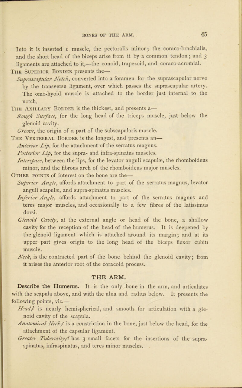 Into it is inserted I muscle, the pectoralis minor; the coraco-brachialis, and the short head of the biceps arise from it by a common tendon; and 3 ligaments are attached to it,—the conoid, trapezoid, and coraco-acromial. The Superior Border presents the— Suprascapular Notch, converted into a foramen for the suprascapular nerve by the transverse ligament, over which passes the suprascapular artery. The omo-hyoid muscle is attached to the border just internal to the notch. The Axillary Border is the thickest, and presents a— Rough Surface, for the long head of the triceps muscle, just below the glenoid cavity. Groove, the origin of a part of the subscapularis muscle. The Vertebral Border is the longest, and presents an— Anterior Lip, for the attachment of the serratus magnus. Posterior Lip, for the supra- and infra-spinatus muscles. Lnterspace, between the lips, for the levator anguli scapulae, the rhomboideus minor, and the fibrous arch of the rhomboideus major muscles. Other points of interest on the bone are the— Superior Angle, affords attachment to part of the serratus magnus, levator anguli scapulae, and supra-spinatus muscles. Inferior Angle, affords attachment to part of the serratus magnus and teres major muscles, and occasionally to a few fibres of the latissimus dorsi. Glenoid Cavity, at the external angle or head of the bone, a shallow cavity for the reception of the head of the humerus. It is deepened by the glenoid ligament which is attached around its margin; and at its upper part gives origin to the long head of the biceps flexor cubiti muscle. Neck, is the contracted part of the bone behind the glenoid cavity; from it arises the anterior root of the coracoid process. THE ARM. Describe the Humerus. It is the only bone in the arm, and articulates with the scapula above, and with the ulna and radius below. It presents the following points, viz.— Headp is nearly hemispherical, and smooth for articulation with a gle- noid cavity of the scapula. Anatomical Necky is a constriction in the bone, just below the head, for the attachment of the capsular ligament. Greater Tuberosity,d has 3 small facets for the insertions of the supra- spinatus, infraspinatus, and teres minor muscles.