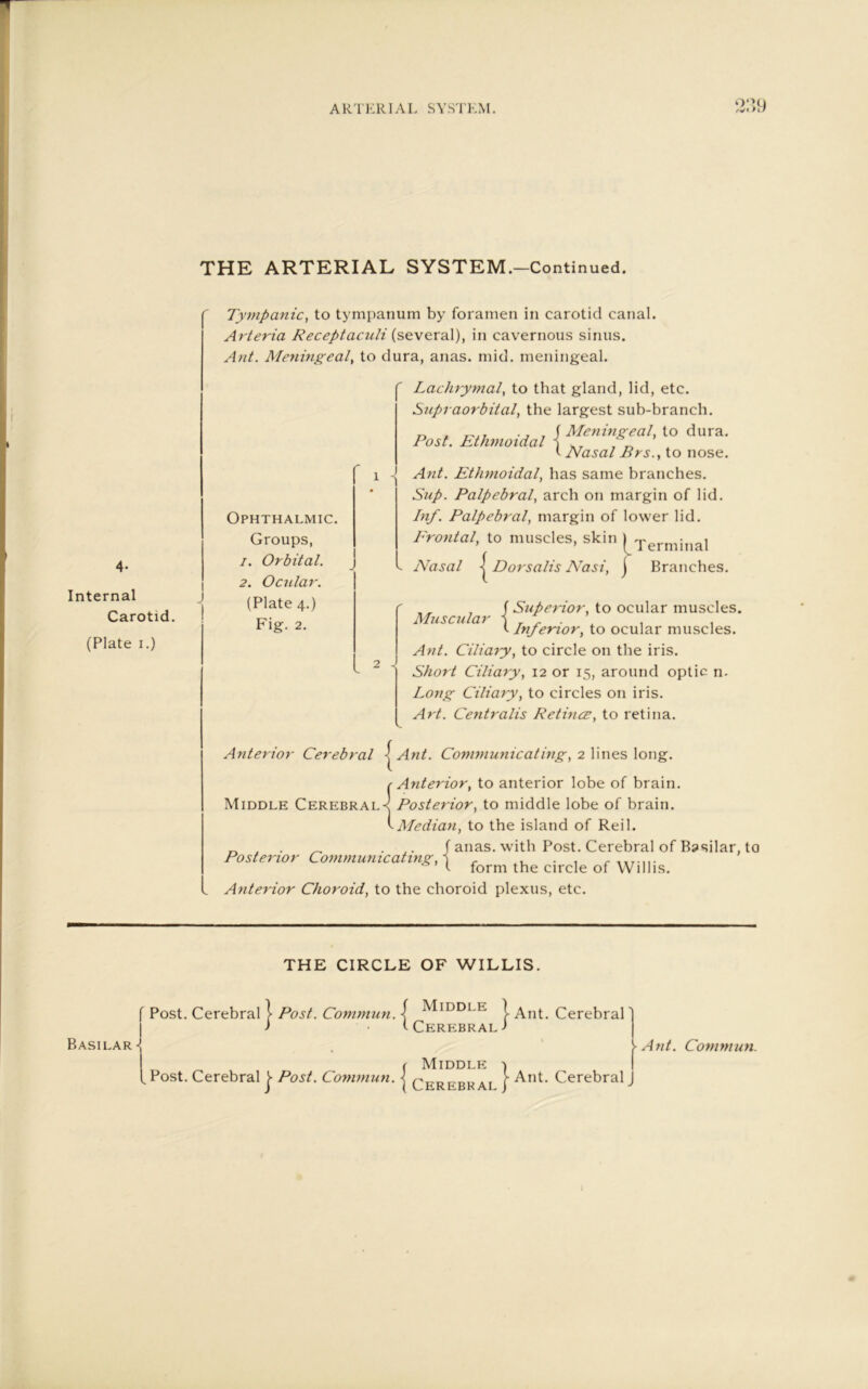 o*iu THE ARTERIAL SYSTEM.-Continued. 4- Internal Carotid. (Plate i.) Tympanic, to tympanum by foramen in carotid canal. Arteria Receptaculi (several), in cavernous sinus. Ant. Meningeal, to dura, anas. mid. meningeal. Lachrymal, to that gland, lid, etc. Supiaorbital, the largest sub-branch. Post. Ethmoidal { Meningeal, to dura. t Nasal Brs., to nose. Ant. Ethmoidal, has same branches. Sup. Palpebral, arch on margin of lid. Inf. Palpebral, margin of lower lid. Frontal, to muscles, skin ) Terminal Nasal | Dorsalis Nasi, j Branches. Ophthalmic. Groups, 1. Orbital. 2. Ocular. (Plate 4.) Fig. 2. . , , (Superior, to ocular muscles. Muscular i _ _ . , , t Inferior, to ocular muscles. Ant. Ciliary, to circle on the iris. Short Ciliary, 12 or 15, around optic n. Long Ciliary, to circles on iris. Art. Centralis Retinae, to retina. Anterior Cerebral | Ant. Communicating, 2 lines long. r Anterior, to anterior lobe of brain. Middle Cerebrals Posterior, to middle lobe of brain. cMedian, to the island of Reil. „ . _ . / anas, with Post. Cerebral of Basilar, to Posterior Communicating, 1 . , . , t form the circle of Willis. . Anterior Choroid, to the choroid plexus, etc. THE CIRCLE OF WILLIS. Basilar Post. Cerebral } Post. Commun. { MIDDLE l Ant. Cerebral J • <• Cerebral J ( Middle ) T°st. Cerebral | Post. Commun. | qerebrai | Ant. Cerebral J \ Ant. Commun.
