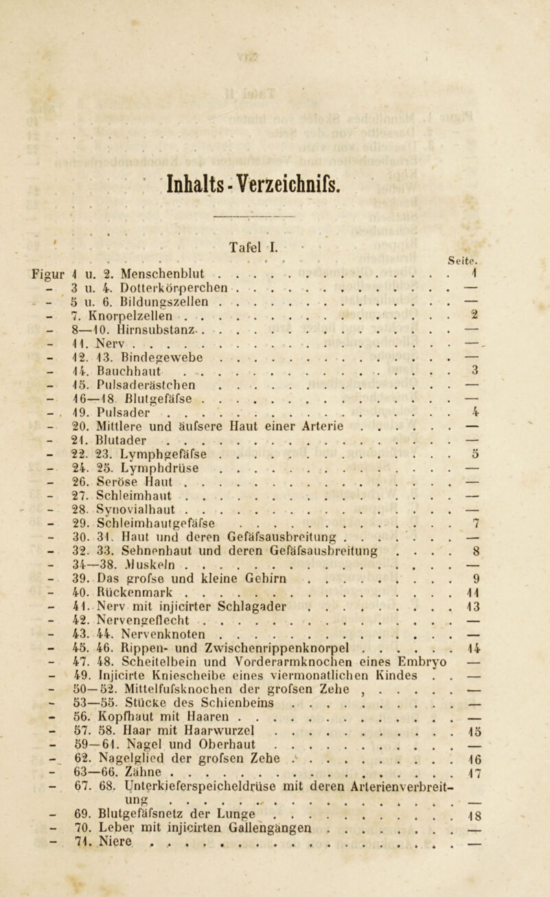 Inhalts • Verzeichnis. I Figur Tafel I. Seite. 1 u. 2. Menschenblut 3 u. 4. Dotterkörperchen 5 u. 6. Bildungszellen 7. Knorpelzellen 8—10. Hirnsubstanz 11. Nerv 12. 13. Bindegewebe 14. Bauch haut 15. Pulsaderästchen 16—18 ßlutgefäfse 19. Pulsader 20. Mittlere und äufsere Haut einer Arterie 21. Blutader 22. 23. Lymphgefäfse 24. 25. Lymphdrüse 26. Seröse Haut 27. Schleimhaut 28. Synovialhaut 29. Schleimhautgefäfse 30. 31. Haut und deren Gefäfsausbreitung 32. 33. Sehnenhaut und deren Gefäfsausbreitung . . . . 34—38. Muskeln 39. Das grofse und kleine Gehirn 40. Rückenmark 41. Nerv mit injicirter Schlagader 42. Nervengeflecht 43. 44. Nervenknoten 45. 46. Rippen- und Zwischenrippenknorpel 47. 48. Scheitelbein und Vorderarmknochen eines Embryo 49. Injicirte Kniescheibe eines viermonatlichen Kindes . . 50—52. Mittelfufsknochen der grofsen Zehe , 53—55. Stücke des Schienbeins 56. Kopfhaut mit Haaren 57. 58. Haar mit Haarwurzel 59—61. Nagel und Oberhaut 62. Nagelglied der grofsen Zehe > 63—66. Zähne 67. 68. Unterkieferspeicheldrüse mit deren Arlerienverbreit- ung 69. Blutgefäfsnetz der Lunge 70. Leber mit injicirten Gallengängen 71. Niere 1 2 3 4 5 7 8 9 11 13 14 15 16 17 18