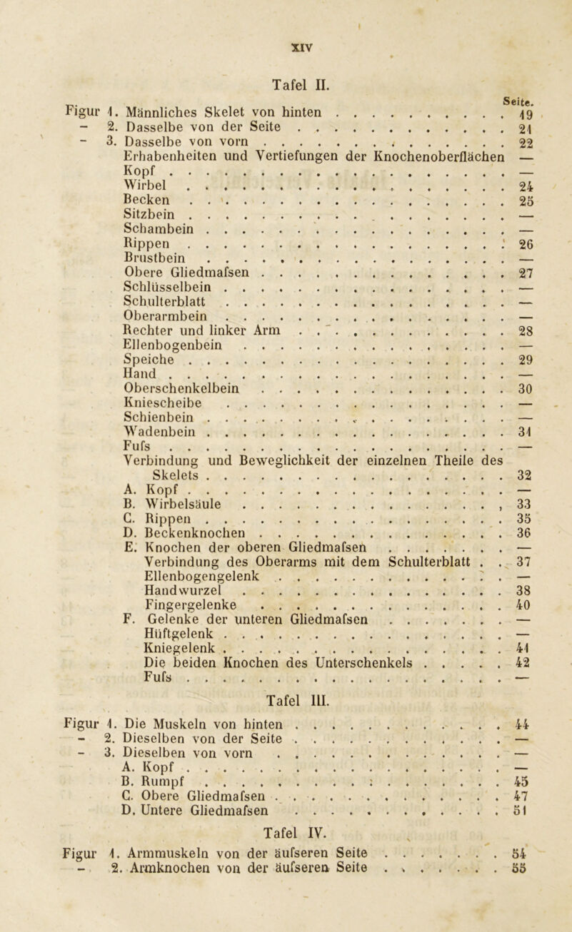 XIV Tafel II. Figur 4. Männliches Skelet von hinten 49 - 2. Dasselbe von der Seite . 24 3. Dasselbe von vorn 22 Erhabenheiten und Vertiefungen der Knochenoberflächen — Kopf — Wirbel . 24 Becken 25 Sitzbein _ — Schambein — Rippen .‘26 Brustbein — Obere Gliedmafsen 27 Schlüsselbein — Schulterblatt — Oberarmbein — Rechter und linker Arm . . 28 Ellenbogenbein — Speiche . 29 Hand — Oberschenkelbein 30 Kniescheibe — Schienbein — Wadenbein .. ... 34 Fufs — Verbindung und Beweglichkeit der einzelnen Theile des Skelets 32 A. Kopf . — B. Wirbelsäule ,33 G. Rippen 35 D. Beckenknochen 36 E. Knochen der oberen Gliedmafsen — Verbindung des Oberarms mit dem Schulterblatt . . 37 Ellenbogengelenk 7 . — Handwurzel 38 Fingergelenke 40 F. Gelenke der unteren Gliedmafsen — Hüftgelenk — Kniegelenk 44 Die beiden Knochen des Unterschenkels 42 Fufs — Tafel HI. Figur 4. Die Muskeln von hinten .... 2. Dieselben von der Seite .... 3. Dieselben von vorn A. Kopf B, Rumpf . G. Obere Gliedmafsen ... . . . D. Untere Gliedmafsen . . . . . Tafel IV. Figur 4. Armmuskeln von der äufseren Seite 2. Armknochen von der äufseren Seite 44 . 45 . 47 . 51 . 54 . 55 V