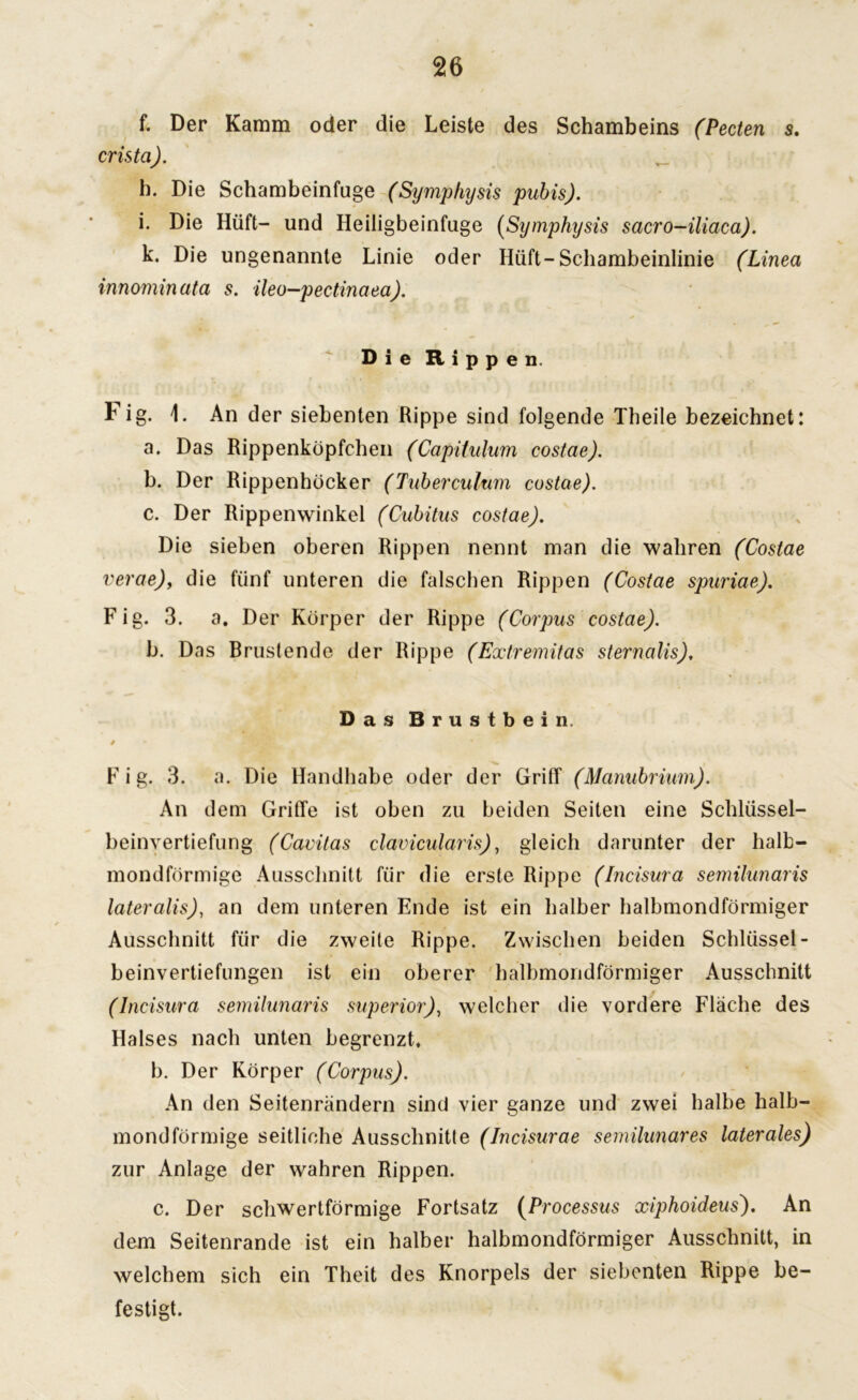 f. Der Kamm oder die Leiste des Schambeins (Pecten s. crista). b. Die Schambeinfuge (Symphysis pubis). i. Die Hüft- und Heiligbeinfuge (Symphysis sacro-iliaca). k. Die ungenannte Linie oder Hüft-Schambeinlinie (Linea innomin ata s. ileo—pectinaea). Die Rippen, Fig. 1. An der siebenten Rippe sind folgende Theile bezeichnet: a. Das Rippenköpfchen (Capitulum costae). b. Der Rippenhöcker (Tuberculum costae). c. Der Rippenwinkel (Cubitus costae). Die sieben oberen Rippen nennt man die wahren (Costae verae), die fünf unteren die falschen Rippen (Costae spuriae). Fig. 3. a. Der Körper der Rippe (Corpus costae). b. Das Bruslende der Rippe (Extremitas sternalis). Das Brustbein. 4 » Fig. 3. a. Die Handhabe oder der Griff (Manubrium). An dem Griffe ist oben zu beiden Seiten eine Schlüssel- beinvertiefung (Cavitas clavicularis), gleich darunter der halb- mondförmige Ausschnitt für die erste Rippe (Incisura semilunaris lateralis), an dem unteren Ende ist ein halber halbmondförmiger Ausschnitt für die zweite Rippe. Zwischen beiden Schlüssel- beinvertiefungen ist ein oberer halbmondförmiger Ausschnitt (Incisura semilunaris superior), welcher die vordere Fläche des Halses nach unten begrenzt, b. Der Körper (Corpus). An den Seitenrändern sind vier ganze und zwei halbe halb- mondförmige seitliche Ausschnitte (lncisurae semilunares laterales) zur Anlage der wahren Rippen. c. Der schwertförmige Fortsatz (Processus xiphoideus). An dem Seitenrande ist ein halber halbmondförmiger Ausschnitt, in welchem sich ein Theit des Knorpels der siebenten Rippe be- festigt.