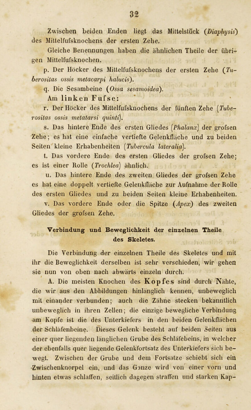 Zwischen beiden Enden liegt das Mittelstück (Diaphysis) des Mittelfufsknochens der ersten Zehe. Gleiche Benennungen haben die ähnlichen Theile der übri- gen Mittelfufsknochen. p. Der Höcker des Mittelfufsknochens der ersten Zehe (Tu- ber ositas ossis metacarpi halucis). q. Die Sesambeine (Ossa sesamoidea). Am linken Fufse: r. Der Höcker des Mittelfufsknochens der fünften Zehe (Tube- rositas ossis melatarsi quinti). s. Das hintere Ende des ersten Gliedes (Phalanx) der grofsen Zehe; es hat eine einfache vertiefte Gelenkfläche und zu beiden Seiten kleine Erhabenheiten [Tubercula lateralia). t. Das vordere Ende des ersten Gliedes der grofsen Zehe; es ist einer Rolle (Troclilea) ähnlich. u. Das hintere Ende des zweiten Gliedes der grofsen Zehe es hat eine doppelt vertiefte Gelenkfläche zur Aufnahme der Rolle des ersten Gliedes und zu beiden Seiten kleine Erhabenheiten. v. Das vordere Ende oder die Spitze (Apex) des zweiten Gliedes der grofsen Zehe. Verbindung und Beweglichkeit der einzelnen Theile des Skeletes. Die Verbindung der einzelnen Theile des Skeletes und mit ihr die Beweglichkeit derselben ist sehr verschieden, wir gehen sie nun von oben nach abwärts einzeln durch. # A. Die meisten Knochen des Kopfes sind durch Nähte, die wir aus den Abbildungen hinlänglich kennen, unbeweglich mit einander verbunden; auch die Zähne stecken bekanntlich unbeweglich in ihren Zellen; die einzige bewegliche Verbindung am Kopfe ist die des Unterkiefers in den beiden Gelenkflächen der Schläfenbeine. Dieses Gelenk besteht auf beiden Seiten aus einer quer liegenden länglichen Grube des Schläfebeins, in welcher der ebenfalls quer liegende Gelenkfortsatz des Unterkiefers sich be- wegt. Zwischen der Grube und dem Fortsatze schiebt sich ein Zwischenknorpel ein, und das Ganze wird von einer vorn und hinten etwas schlaffen, seitlich dagegen straffen und starken Kap-