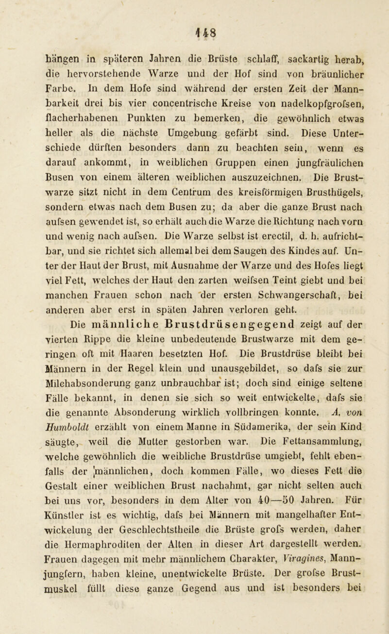 hängen in späteren Jahren die Brüste schlaff, sackartig herab, die hervorstehende Warze und der Hof sind von bräunlicher Farbe. In dem Hofe sind während der ersten Zeit der Mann- barkeit drei bis vier concentrische Kreise von nadelkopfgrofsen, flacherhabenen Punkten zu bemerken, die gewöhnlich etwas heller als die nächste Umgebung gefärbt sind. Diese Unter- schiede dürften besonders dann zu beachten sein, wenn es darauf ankommt, in weiblichen Gruppen einen jungfräulichen Busen von einem älteren weiblichen auszuzeichnen. Die Brust- warze sitzt nicht in dem Gentrum des kreisförmigen Brusthügels, sondern etwas nach dem Busen zu; da aber die ganze Brust nach aufsen gewendet ist, so erhält auch die Warze die Richtung nach vorn und wenig nach aufsen. Die Warze selbst ist erectil, d. h. aufricht- bar, und sie richtet sich allemal bei dem Saugen des Kindes auf. Un- ter der Haut der Brust, mit Ausnahme der Warze und des Hofes liegt viel Fett, welches der Haut den zarten weifsen Teint giebt und bei manchen Frauen schon nach der ersten Schwangerschaft, bei anderen aber erst in späten Jahren verloren geht. Die männliche Brustdrüsengegend zeigt auf der vierten Rippe die kleine unbedeutende Brustwarze mit dem ge- ringen oft mit Haaren besetzten Hof. Die Brustdrüse bleibt bei Männern in der Regel klein und unausgebildet, so dafs sie zur Milchabsonderung ganz unbrauchbar ist; doch sind einige seltene Fälle bekannt, in denen sie sich so weit entwickelte, dafs sie die genannte Absonderung wirklich vollbringen konnte. A. von Humboldt erzählt von einem Manne in Südamerika, der sein Kind säugte, weil die Mutter gestorben war. Die Fettansammlung, welche gewöhnlich die weibliche Brustdrüse umgiebt, fehlt eben- falls der ^männlichen, doch kommen Fälle, wo dieses Fett die Gestalt einer weiblichen Brust nachahmt, gar nicht selten auch bei uns vor, besonders in dem Alter von 40—50 Jahren. Für Künstler ist es wichtig, dafs bei Männern mit mangelhafter Ent- wickelung der Geschlechtstheile die Brüste grofs werden, daher die Hermaphroditen der Alten in dieser Art dargestellt werden. Frauen dagegen mit mehr männlichem Charakter, Viragines, Mann- jungfern, haben kleine, unentwickelte Brüste. Der grofse Brust- muskel füllt diese ganze Gegend aus und ist besonders bei