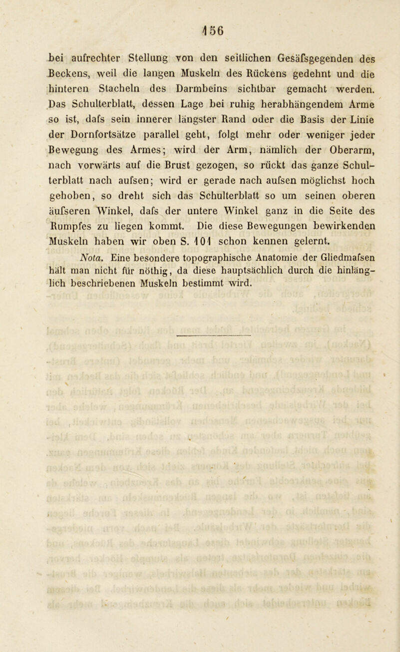 bei aufrechter Stellung von den seitlichen Gesäfsgegenden des Beckens, weil die langen Muskeln des Rückens gedehnt und die hinteren Stacheln des Darmbeins sichtbar gemacht werden. / Das Schulterblatt, dessen Lage bei ruhig herabhängendem Arme so ist, dafs sein innerer längster Rand oder die Basis der Linie der Dornfortsätze parallel geht, folgt mehr oder weniger jeder Bewegung des Armes; wird der Arm, nämlich der Oberarm, nach vorwärts auf die Brust gezogen, so rückt das ganze Schul- terblatt nach aufsen; wird er gerade nach aufsen möglichst hoch gehoben, so dreht sich das Schulterblatt so um seinen oberen äufseren Winkel, dafs der untere Winkel ganz in die Seite des Rumpfes zu liegen kommt. Die diese Bewegungen bewirkenden Muskeln haben wir oben S. 101 schon kennen gelernt. Nota. Eine besondere topographische Anatomie der Gliedmafsen hält man nicht für nöthig, da diese hauptsächlich durch die hinläng- lich beschriebenen Muskeln bestimmt wird. /