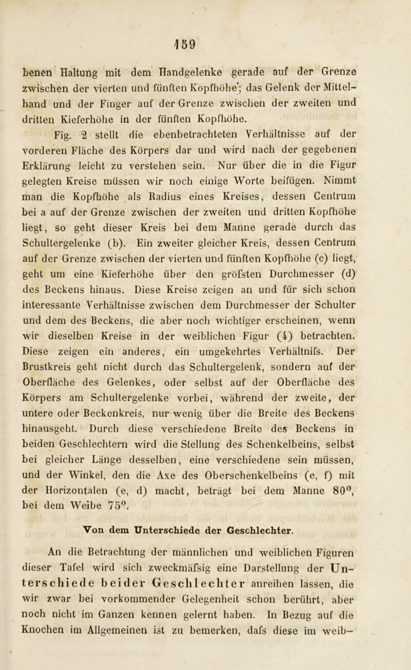 benen Haltung mit dem Handgelenke gerade auf der Grenze zwischen der vierten und fünften Kopfhöhe'; das Gelenk der Mittel- hand und der Finger auf der Grenze zwischen der zweiten und dritten Kieferhöhe in der fünften Kopfhöhe. Fig. 2 stellt die ebenbetrachleten Verhältnisse auf der vorderen Fläche des Körpers dar und wird nach der gegebenen Erklärung leicht zu verstehen sein. Nur über die in die Figur gelegten Kreise müssen wir noch einige Worte beifügen. Nimmt man die Kopfhöhe als Radius eines Kreises, dessen Centrum bei a auf der Grenze zwischen der zweiten und dritten Kopfhöhe liegt, so geht dieser Kreis bei dem Manne gerade durch das * Schultergelenke (b). Ein zweiter gleicher Kreis, dessen Centrum auf der Grenze zwischen der vierten und fünften Kopfhöhe (c) liegt, geht um eine Kieferhöhe über den gröbsten Durchmesser (d) des Beckens hinaus. Diese Kreise zeigen an und für sich schon interessante Verhältnisse zwischen dem Durchmesser der Schulter und dem des Beckens, die aber noch wichtiger erscheinen, wenn wir dieselben Kreise in der weiblichen Figur (4) betrachten. Diese zeigen ein anderes, ein umgekehrtes Verhältnifs. Der Brustkreis geht nicht durch das Schultergelenk, sondern auf der Oberfläche des Gelenkes, oder selbst auf der Oberfläche des Körpers am Schultergelenke vorbei, während der zweite, der untere oder Beckenkreis, nur wenig über die Breite des Beckens hinausgeht. Durch diese verschiedene Breite des Beckens in beiden Geschlechtern wird die Stellung des Schenkelbeins, selbst bei gleicher Länge desselben, eine verschiedene sein müssen, und der Winkel, den die Axe des Oberschenkelbeins (e, f) mit der Horizontalen (e, d) macht, beträgt bei dem Manne 80°, bei dem Weibe 75°. Von dem Unterschiede der Geschlechter. An die Betrachtung der männlichen und weiblichen Figuren dieser Tafel wird sich zweckmäfsig eine Darstellung der Un- terschiede beider Geschlechter anreihen lassen, die wir zwar bei vorkommender Gelegenheit schon berührt, aber noch nicht im Ganzen kennen gelernt haben. In Bezug auf die Knochen im Allgemeinen ist zu bemerken, dafs diese im weib- 9