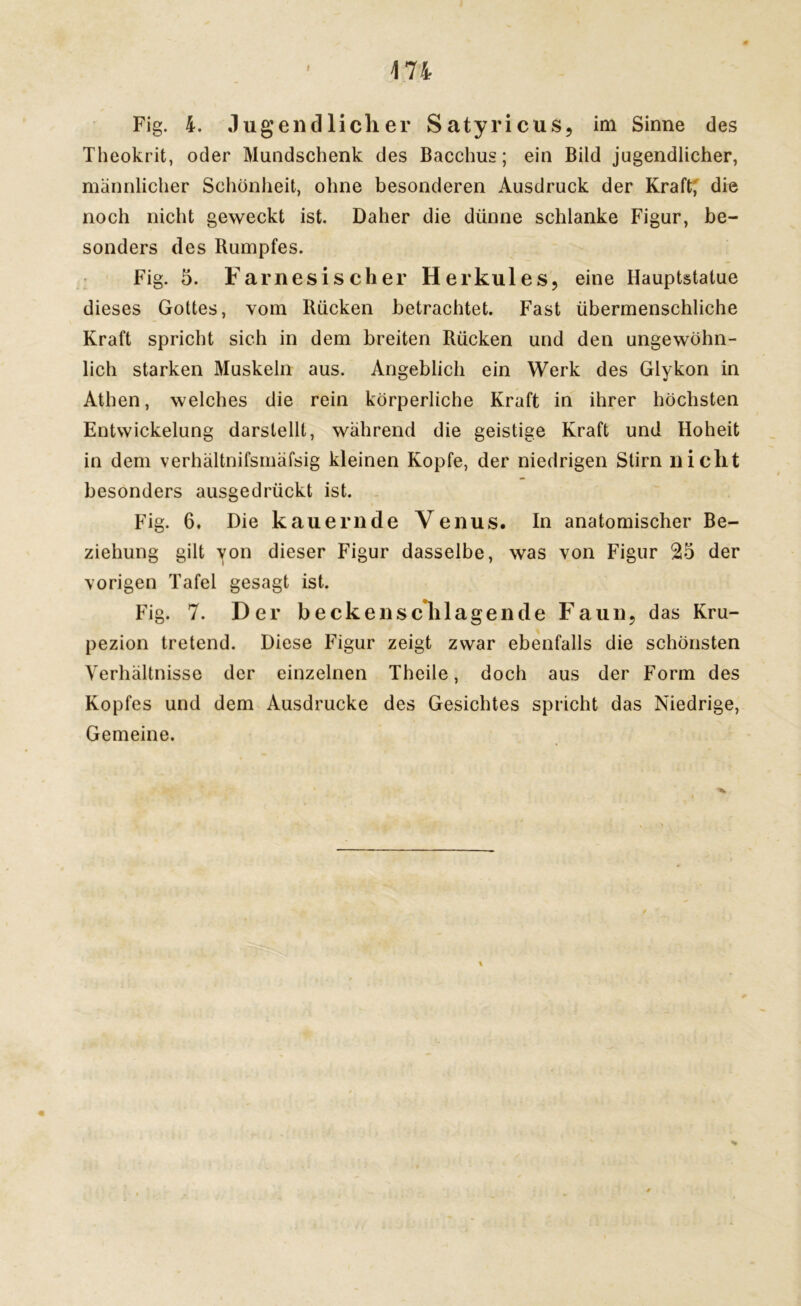 Fig. 4. .lugend lieh er Satyricus, im Sinne des Theokrit, oder Mundschenk des Bacchus; ein Bild jugendlicher, männlicher Schönheit, ohne besonderen Ausdruck der Kraft, die noch nicht geweckt ist. Daher die dünne schlanke Figur, be- sonders des Rumpfes. Fig. 5. F am es i sch er Herkules, eine Hauptstatue dieses Gottes, vom Rücken betrachtet. Fast übermenschliche Kraft spricht sich in dem breiten Rücken und den ungewöhn- lich starken Muskeln aus. Angeblich ein Werk des Glykon in Athen, welches die rein körperliche Kraft in ihrer höchsten Entwickelung darstellt, während die geistige Kraft und Hoheit in dem verhältnifsmäfsig kleinen Kopfe, der niedrigen Stirn nicht besonders ausgedrückt ist. Fig. 6. Die kauernde Venus. In anatomischer Be- ziehung gilt von dieser Figur dasselbe, was von Figur 25 der vorigen Tafel gesagt ist. Fig. 7. Der beckensclilagende Faun, das Kru- pezion tretend. Diese Figur zeigt zwar ebenfalls die schönsten Verhältnisse der einzelnen Theile, doch aus der Form des Kopfes und dem Ausdrucke des Gesichtes spricht das Niedrige, Gemeine. %