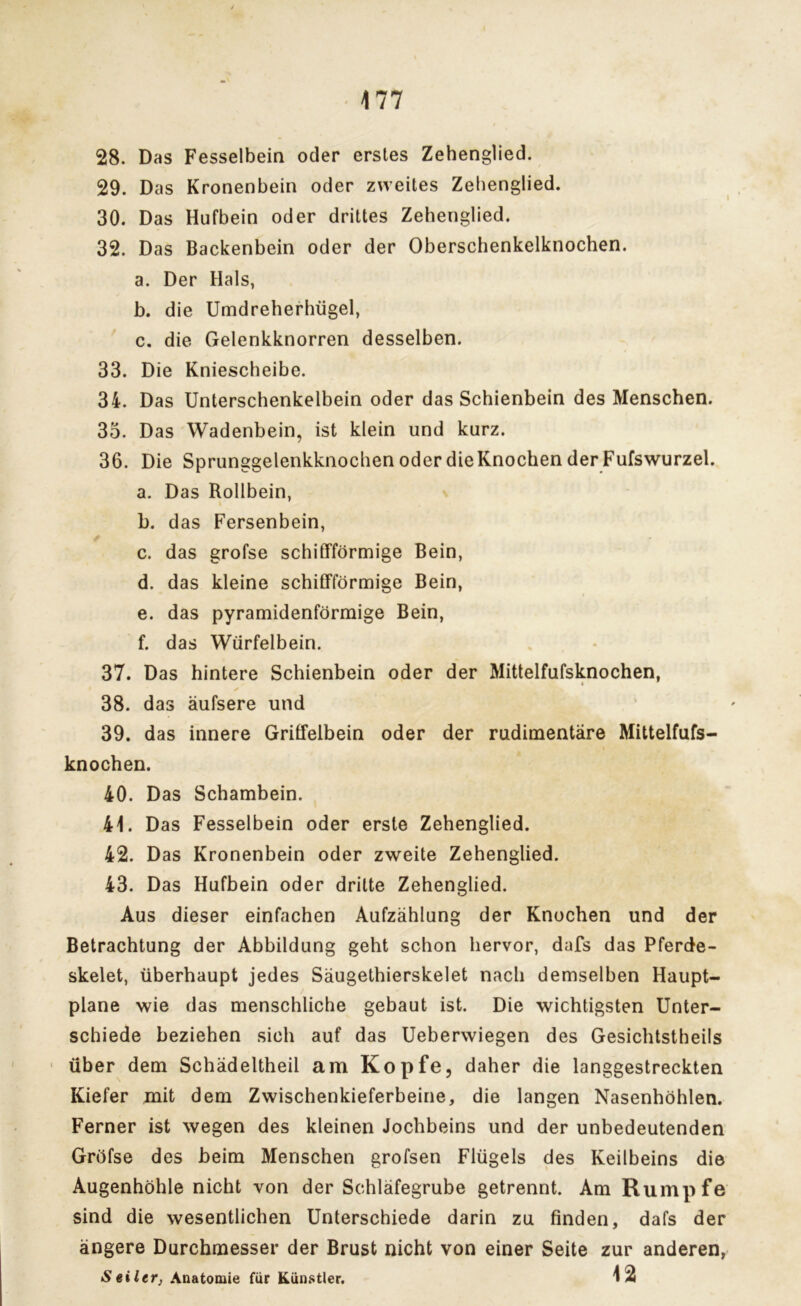 28. Das Fesselbein oder erstes Zehenglied. 29. Das Kronenbein oder zweites Zehenglied. 30. Das Hufbein oder drittes Zehenglied. 32. Das Backenbein oder der Oberschenkelknochen. a. Der Hals, b. die Umdreherhügel, c. die Gelenkknorren desselben. 33. Die Kniescheibe. 34. Das Unterschenkelbein oder das Schienbein des Menschen. 35. Das Wadenbein, ist klein und kurz. 36. Die Sprunggelenkknochen oder die Knochen der Fufswurzel. a. Das Rollbein, b. das Fersenbein, / c. das grofse schiffförmige Bein, d. das kleine schiffförmige Bein, e. das pyramidenförmige Bein, f. das Würfelbein. 37. Das hintere Schienbein oder der Mittelfufsknochen, ✓ 38. das äufsere und 39. das innere Griffelbein oder der rudimentäre Mittelfufs- knochen. 40. Das Schambein. 41. Das Fesselbein oder erste Zehenglied. 42. Das Kronenbein oder zweite Zehenglied. 43. Das Hufbein oder dritte Zehenglied. Aus dieser einfachen Aufzählung der Knochen und der Betrachtung der Abbildung geht schon hervor, dafs das Pferde- skelet, überhaupt jedes Säugethierskelet nach demselben Haupt- plane wie das menschliche gebaut ist. Die wichtigsten Unter- schiede beziehen sich auf das Ueberwiegen des Gesichtstheils über dem Schädeltheil am Kopfe, daher die langgestreckten Kiefer mit dem Zwischenkieferbeine, die langen Nasenhöhlen. Ferner ist wegen des kleinen Jochbeins und der unbedeutenden Gröfse des beim Menschen grofsen Flügels des Keilbeins die Augenhöhle nicht von der Schläfegrube getrennt. Am Rumpfe sind die wesentlichen Unterschiede darin zu finden, dafs der ängere Durchmesser der Brust nicht von einer Seite zur anderen, Seiltr, Anatomie für Künstler. 12