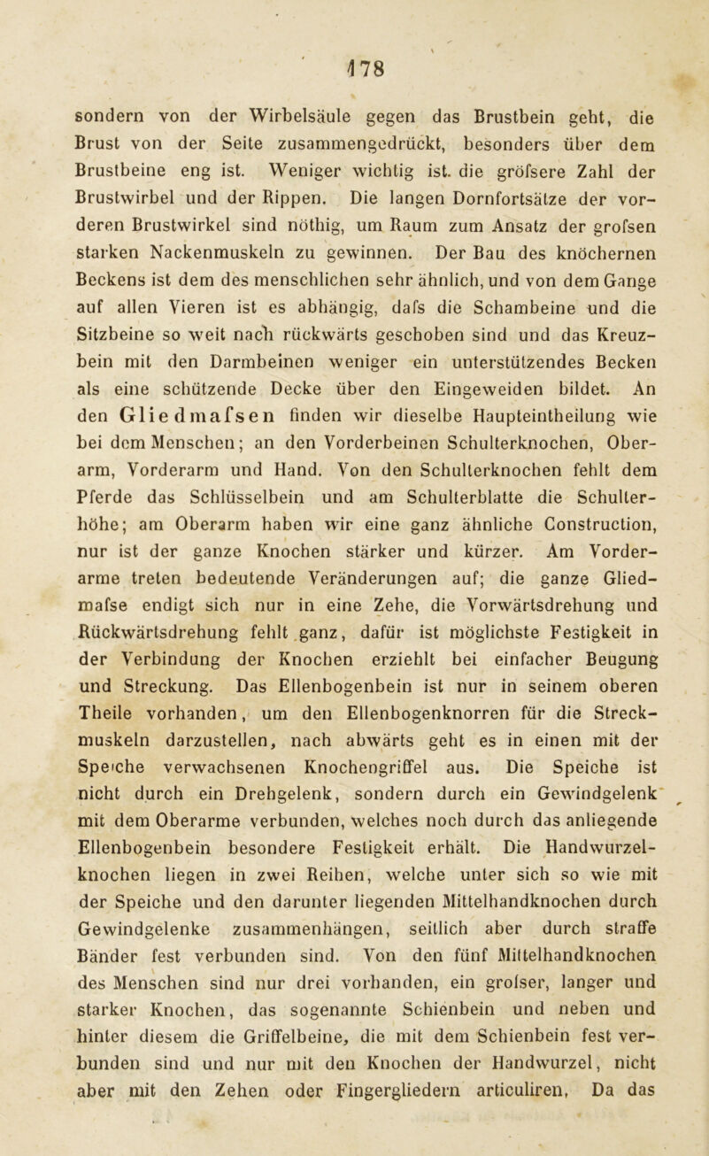 sondern von der Wirbelsäule gegen das Brustbein geht, die Brust von der Seite zusammengedrückt, besonders über dem Brustbeine eng ist. Weniger wichtig ist. die gröfsere Zahl der Brustwirbel und der Rippen. Die langen Dornfortsätze der vor- deren Brustwirkel sind nöthig, um Raum zum Ansatz der grofsen starken Nackenmuskeln zu gewinnen. Der Bau des knöchernen Beckens ist dem des menschlichen sehr ähnlich, und von dem Gange auf allen Vieren ist es abhängig, dafs die Schambeine und die Sitzbeine so weit nach rückwärts geschoben sind und das Kreuz- bein mit den Darmbeinen weniger ein unterstützendes Becken als eine schützende Decke über den Eingeweiden bildet. An den Gliedmafsen finden wir dieselbe Haupteintheilung wie bei dem Menschen; an den Vorderbeinen Schulterknochen, Ober- arm, Vorderarm und Hand. Von den Schulterknochen fehlt dem Pferde das Schlüsselbein und am Schulterblatte die Schulter- höhe; am Oberarm haben wir eine ganz ähnliche Construction, nur ist der ganze Knochen stärker und kürzer. Am Vorder- arme treten bedeutende Veränderungen auf; die ganze Glied- mafse endigt sich nur in eine Zehe, die Vorwärtsdrehung und Rückwärtsdrehung fehlt ganz, dafür ist möglichste Festigkeit in der Verbindung der Knochen erziehlt bei einfacher Beugung und Streckung. Das Ellenbogenbein ist nur in seinem oberen Theile vorhanden, um den Ellenbogenknorren für die Streck- muskeln darzustellen, nach abwärts geht es in einen mit der Speiche verwachsenen Knochengriffel aus. Die Speiche ist nicht durch ein Drehgelenk, sondern durch ein Gewindgelenk mit dem Oberarme verbunden, welches noch durch das anliegende Ellenbogenbein besondere Festigkeit erhält. Die Handwurzel- knochen liegen in zwei Reihen, welche unter sich so wie mit der Speiche und den darunter liegenden Mittelhandknochen durch Gewindgelenke Zusammenhängen, seitlich aber durch straffe Bänder fest verbunden sind. Von den fünf Milteihandknochen des Menschen sind nur drei vorhanden, ein grofser, langer und starker Knochen, das sogenannte Schienbein und neben und hinter diesem die Griffelbeine, die mit dem Schienbein fest ver- bunden sind und nur mit den Knochen der Handwurzel, nicht aber mit den Zehen oder Fingergliedern articuliren, Da das