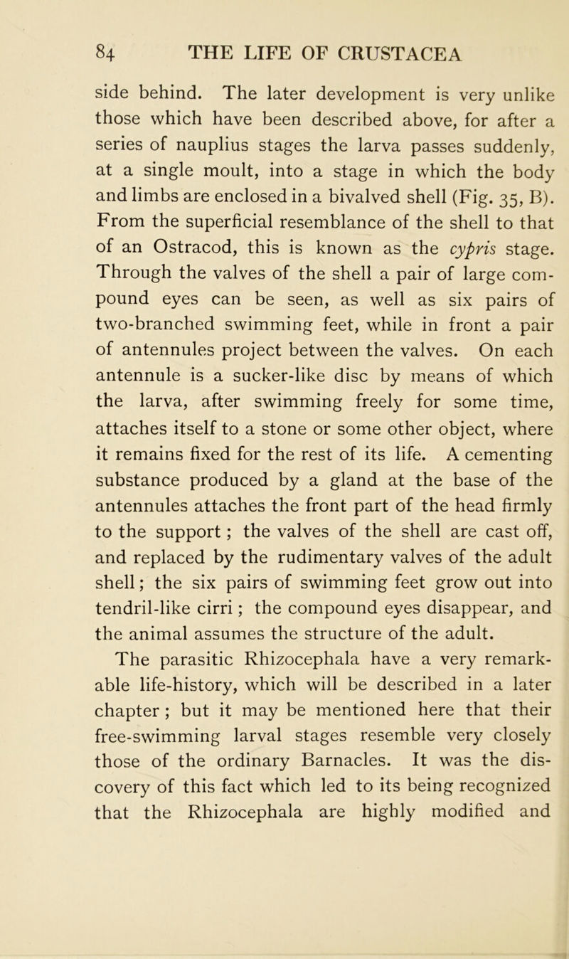 side behind. The later development is very unlike those which have been described above, for after a series of nauplius stages the larva passes suddenly, at a single moult, into a stage in which the body and limbs are enclosed in a bivalved shell (Fig. 35, B). From the superficial resemblance of the shell to that of an Ostracod, this is known as the cypris stage. Through the valves of the shell a pair of large com- pound eyes can be seen, as well as six pairs of two-branched swimming feet, while in front a pair of antennules project between the valves. On each antennule is a sucker-like disc by means of which the larva, after swimming freely for some time, attaches itself to a stone or some other object, where it remains fixed for the rest of its life. A cementing substance produced by a gland at the base of the antennules attaches the front part of the head firmly to the support; the valves of the shell are cast off, and replaced by the rudimentary valves of the adult shell; the six pairs of swimming feet grow out into tendril-like cirri; the compound eyes disappear, and the animal assumes the structure of the adult. The parasitic Rhizocephala have a very remark- able life-history, which will be described in a later chapter ; but it may be mentioned here that their free-swimming larval stages resemble very closely those of the ordinary Barnacles. It was the dis- covery of this fact which led to its being recognized that the Rhizocephala are highly modified and