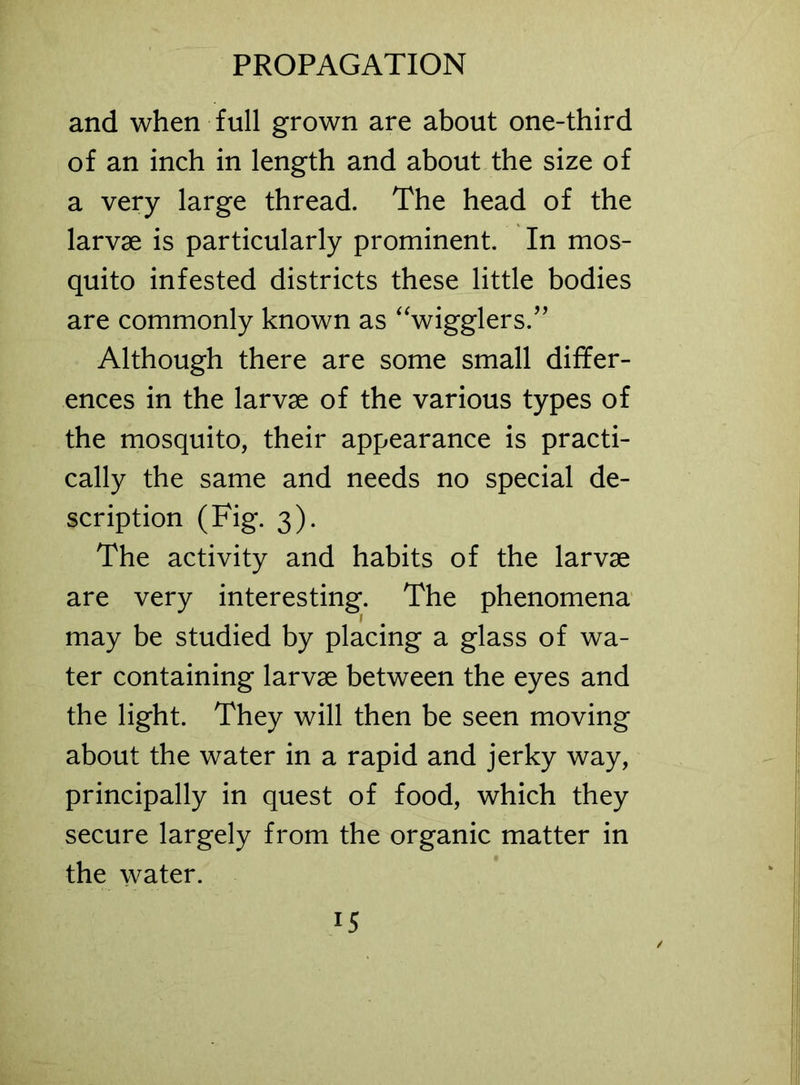 and when full grown are about one-third of an inch in length and about the size of a very large thread. The head of the larvae is particularly prominent. In mos- quito infested districts these little bodies are commonly known as “wigglers.” Although there are some small differ- ences in the larvae of the various types of the mosquito, their appearance is practi- cally the same and needs no special de- scription (Fig. 3). The activity and habits of the larvae are very interesting. The phenomena may be studied by placing a glass of wa- ter containing larvae between the eyes and the light. They will then be seen moving about the water in a rapid and jerky way, principally in quest of food, which they secure largely from the organic matter in the water.