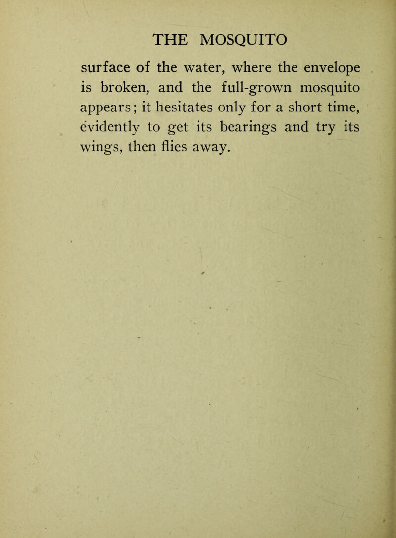 surface of the water, where the envelope is broken, and the full-grown mosquito appears; it hesitates only for a short time, evidently to get its bearings and try its wings, then flies away.