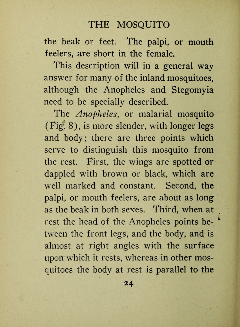 the beak or feet. The palpi, or mouth feelers, are short in the female. This description will in a general way answer for many of the inland mosquitoes, although the Anopheles and Stegomyia need to be specially described. The Anopheles, or malarial mosquito (Fig. 8), is more slender, with longer legs and body; there are three points which serve to distinguish this mosquito from the rest. First, the wings are spotted or dappled with brown or black, which are well marked and constant. Second, the palpi, or mouth feelers, are about as long as the beak in both sexes. Third, when at rest the head of the Anopheles points be- tween the front legs, and the body, and is almost at right angles with the surface upon which it rests, whereas in other mos- quitoes the body at rest is parallel to the