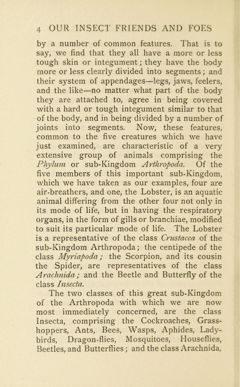 by a number of common features. That is to say, we find that they all have a more or less tough skin or integument; they have the body more or less clearly divided into segments; and their system of appendages—legs, jaws, feelers, and the like—no matter what part of the body they are attached to, agree in being covered with a hard or tough integument similar to that of the body, and in being divided by a number of joints into segments. Now, these features, common to the five creatures which we have just examined, are characteristic of a very extensive group of animals comprising the Phylum or sub-Kingdom Arthropoda. Of the five members of this important sub-Kingdom, which we have taken as our examples, four are air-breathers, and one, the Lobster, is an aquatic animal differing from the other four not only in its mode of life, but in having the respiratory organs, in the form of gills or branchiae, modified to suit its particular mode of life. The Lobster is a representative of the class Crustacea of the sub-Kingdom Arthropoda; the centipede of the class Myriapoda; the Scorpion, and its cousin the Spider, are representatives of the class Arachnida; and the Beetle and Butterfly of the class Insecta. The two classes of this great sub-Kingdom of the Arthropoda with which we are now most immediately concerned, are the class Insecta, comprising the Cockroaches, Grass- hoppers, Ants, Bees, Wasps, Aphides, Lady- birds, Dragon-flies, Mosquitoes, Houseflies, Beetles, and Butterflies; and the class Arachnida,