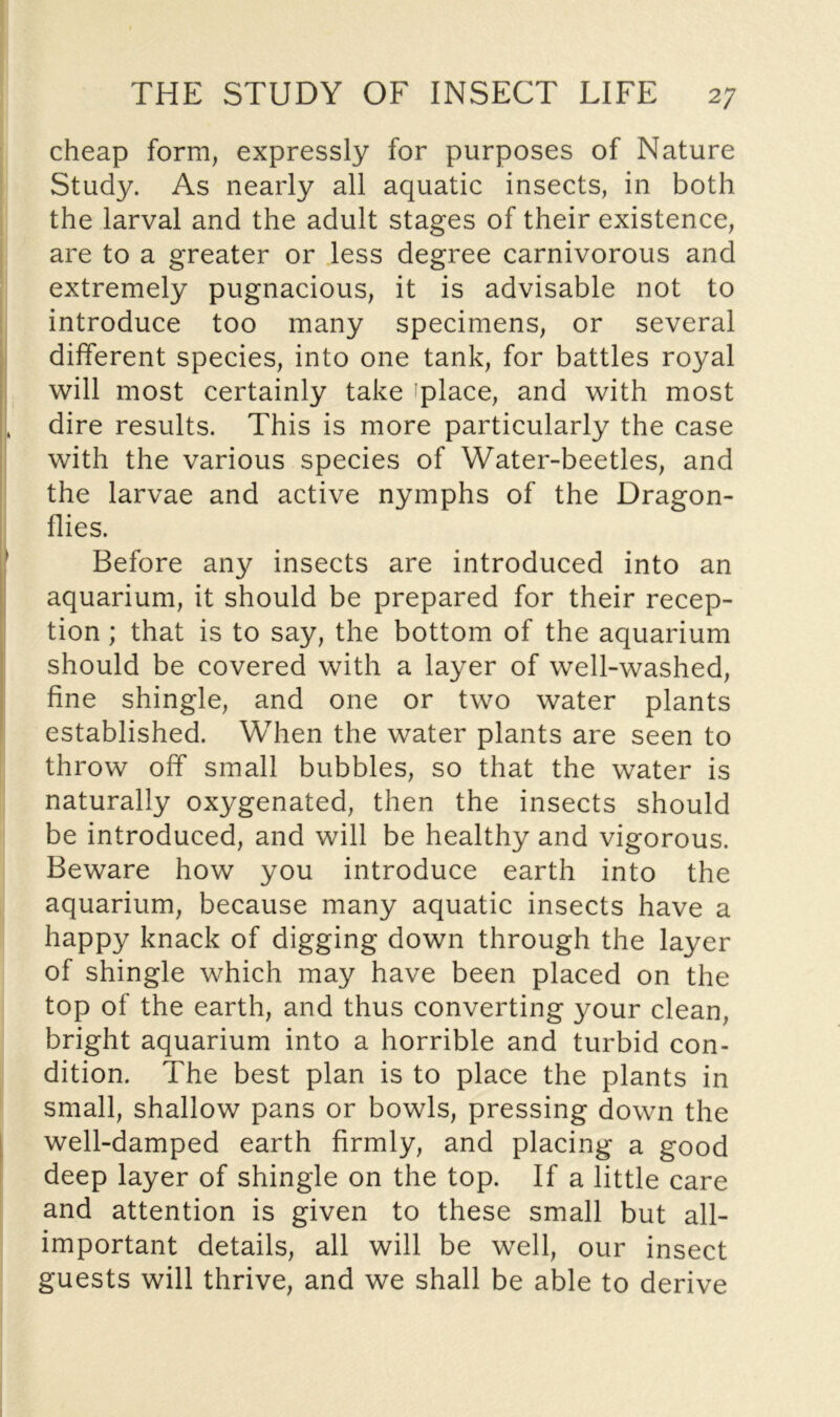 cheap form, expressly for purposes of Nature I Study. As nearly all aquatic insects, in both the larval and the adult stages of their existence, I ' are to a greater or less degree carnivorous and extremely pugnacious, it is advisable not to introduce too many specimens, or several different species, into one tank, for battles royal . will most certainly take iplace, and with most , dire results. This is more particularly the case with the various species of Water-beetles, and the larvae and active nymphs of the Dragon- flies. Before any insects are introduced into an I aquarium, it should be prepared for their recep- tion ; that is to say, the bottom of the aquarium should be covered with a layer of well-washed, fine shingle, and one or two water plants established. When the water plants are seen to throw off small bubbles, so that the water is naturally oxygenated, then the insects should be introduced, and will be healthy and vigorous. Beware how you introduce earth into the aquarium, because many aquatic insects have a happy knack of digging down through the layer of shingle which may have been placed on the top of the earth, and thus converting your clean, bright aquarium into a horrible and turbid con- . dition. The best plan is to place the plants in I ; small, shallow pans or bowls, pressing down the I • well-damped earth firmly, and placing a good deep layer of shingle on the top. If a little care ^ and attention is given to these small but all- important details, all will be well, our insect guests will thrive, and we shall be able to derive