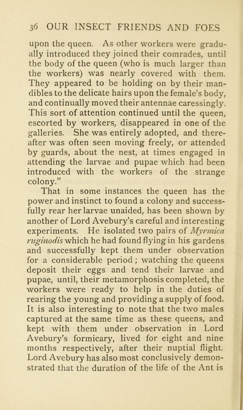 upon the queen. As other workers were gradu- ally introduced they joined their comrades; until the body of the queen (who is much larger than the workers) was nearly covered with them. They appeared to be holding on by their man- dibles to the delicate hairs upon the female’s body, and continually moved their antennae caressingly. This sort of attention continued until the queen, escorted by workers, disappeared in one of the galleries. She was entirely adopted, and there- after was often seen moving freely, or attended by guards, about the nest, at times engaged in attending the larvae and pupae which had been introduced with the workers of the strange colony.” That in some instances the queen has the power and instinct to found a colony and success- fully rear her larvae unaided, has been shown by another of Lord Avebury’s careful and interesting experiments. He isolated two pairs of Mynnica ruginodis which he had found flying in his gardens and successfully kept them under observation for a considerable period ; watching the queens deposit their eggs and tend their larvae and pupae, until, their metamorphosis completed, the workers were ready to help in the duties of rearing the young and providing a supply of food. It is also interesting to note that the two males captured at the same time as these queens, and kept with them under observation in Lord Avebury’s formicary, lived for eight and nine months respectively, after their nuptial flight. Lord Avebury has also most conclusively demon- strated that the duration of the life of the Ant is