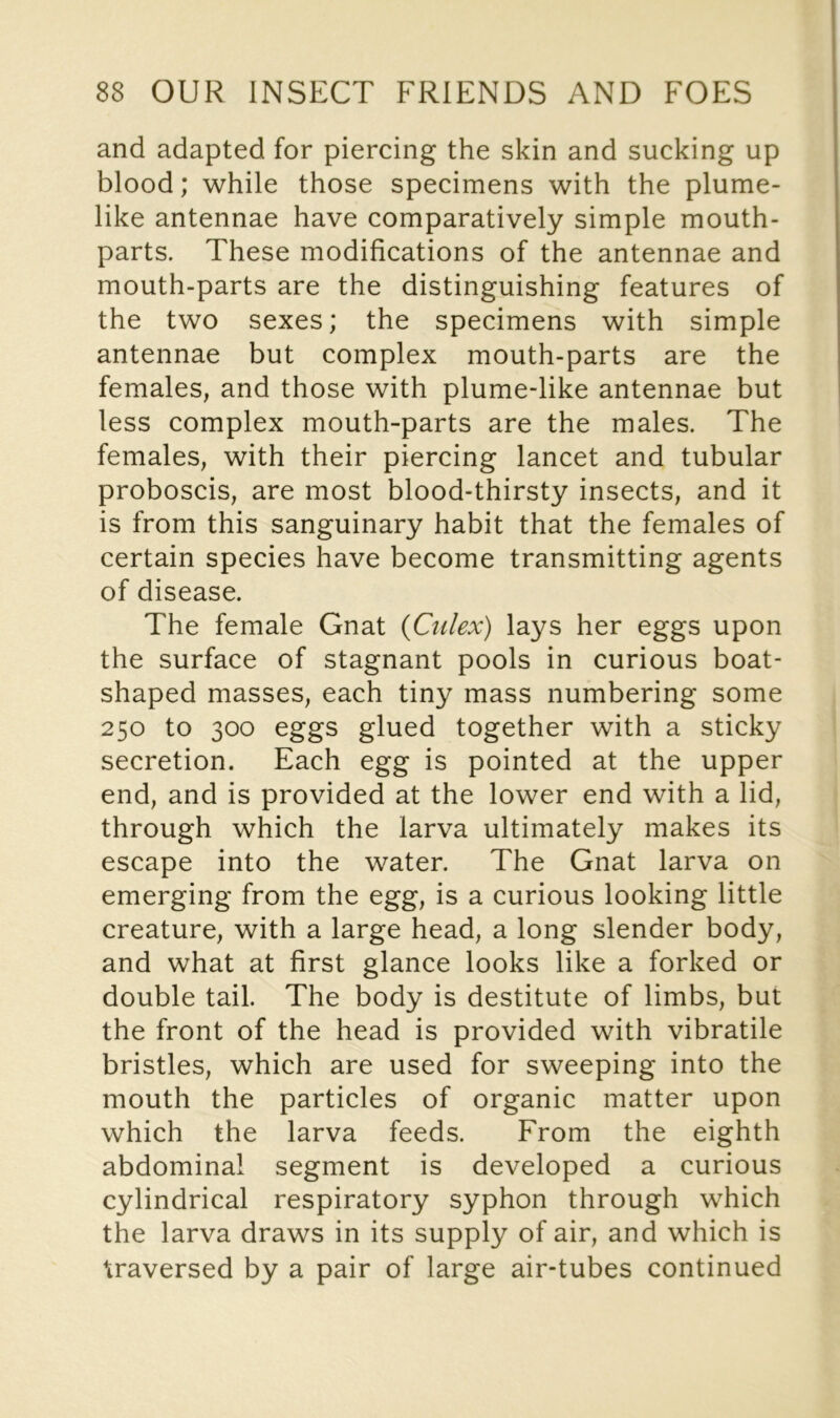 and adapted for piercing the skin and sucking up blood; while those specimens with the plume- like antennae have comparatively simple mouth- parts. These modifications of the antennae and mouth-parts are the distinguishing features of the two sexes; the specimens with simple antennae but complex mouth-parts are the femaleS; and those with plume-like antennae but less complex mouth-parts are the males. The females, with their piercing lancet and tubular proboscis, are most blood-thirsty insects, and it is from this sanguinary habit that the females of certain species have become transmitting agents of disease. The female Gnat (Culex) lays her eggs upon the surface of stagnant pools in curious boat- shaped masses, each tiny mass numbering some 250 to 300 eggs glued together with a sticky secretion. Each egg is pointed at the upper end, and is provided at the lower end with a lid, through which the larva ultimately makes its escape into the water. The Gnat larva on emerging from the egg, is a curious looking little creature, with a large head, a long slender body, and what at first glance looks like a forked or double tail. The body is destitute of limbs, but the front of the head is provided with vibratile bristles, which are used for sweeping into the mouth the particles of organic matter upon which the larva feeds. From the eighth abdominal segment is developed a curious cylindrical respiratory syphon through which the larva draws in its supply of air, and which is traversed by a pair of large air-tubes continued