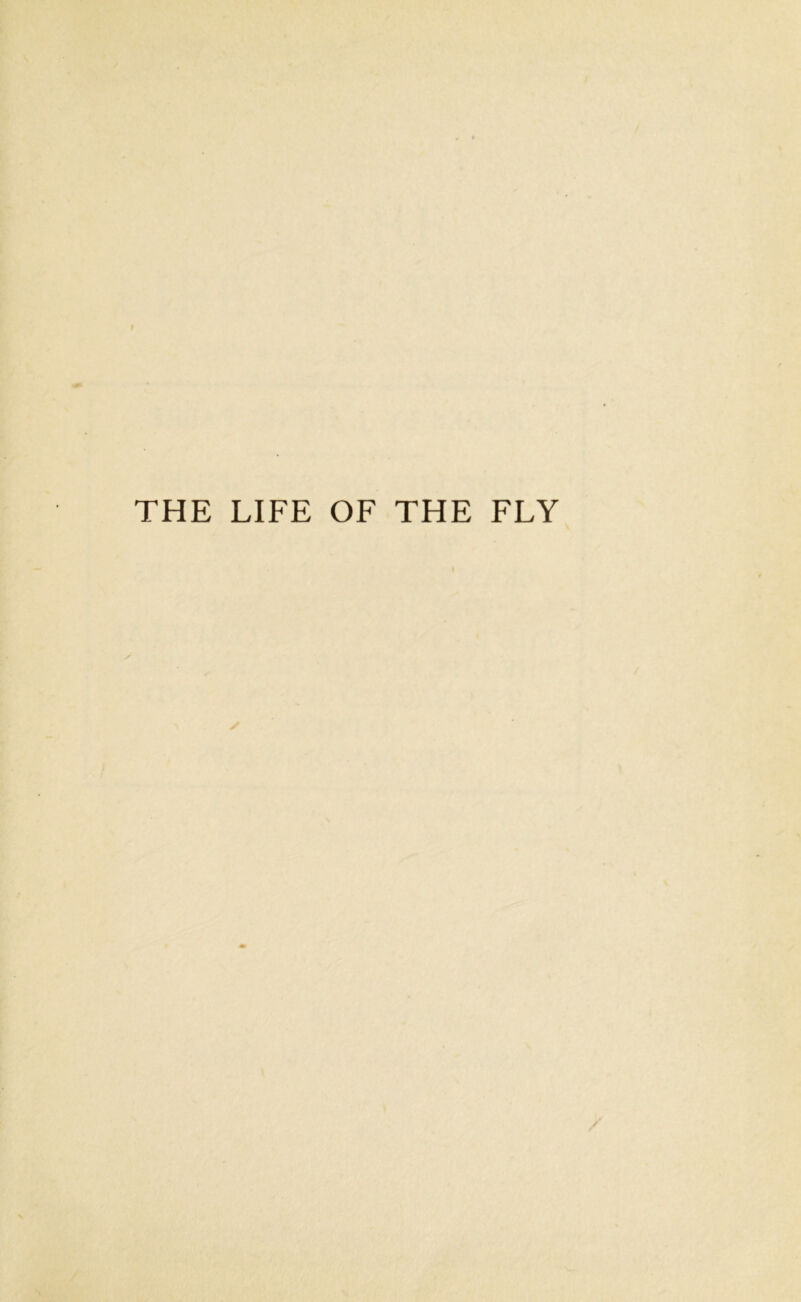 THE LIFE OF THE FLY