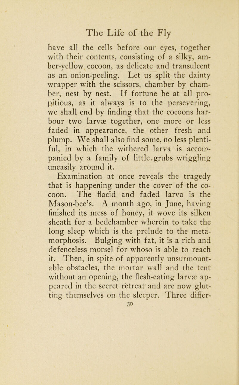 hâve ail the cells before our eyes, together with their contents, consisting of a silky, am- ber-yellow cocoon, as délicate and transulcent as an onion-peeling. Let us split the dainty wrapper with the scissors, chamber by cham- ber, nest by nest. If fortune be at ail pro- pitious, as it always is to the persevering, we shall end by finding that the cocoons har- bour two larvæ together, one more or less faded in appearance, the other fresh and plump. We shall also find some, no less plenti- ful, in which the withered larva is accom- panied by a family of little.grubs wriggling uneasily around it. Examination at once reveals the tragedy that is happening under the cover of the co- coon. The flacid and faded larva is the Mason-bee’s. A month ago, in June, having finished its mess of honey, it wove its silken sheath for a bedchamber wherein to take the long sleep which is the préludé to the meta- morphosis. Bulging with fat, it is a rich and defenceless morsel for whoso is able to reach it. Then, in spite of apparently unsurmount- able obstacles, the mortar wall and the tent without an opening, the flesh-eating larvæ ap- peared in the secret rètreat and are now glut- ting themselves on the sleeper. Three differ-