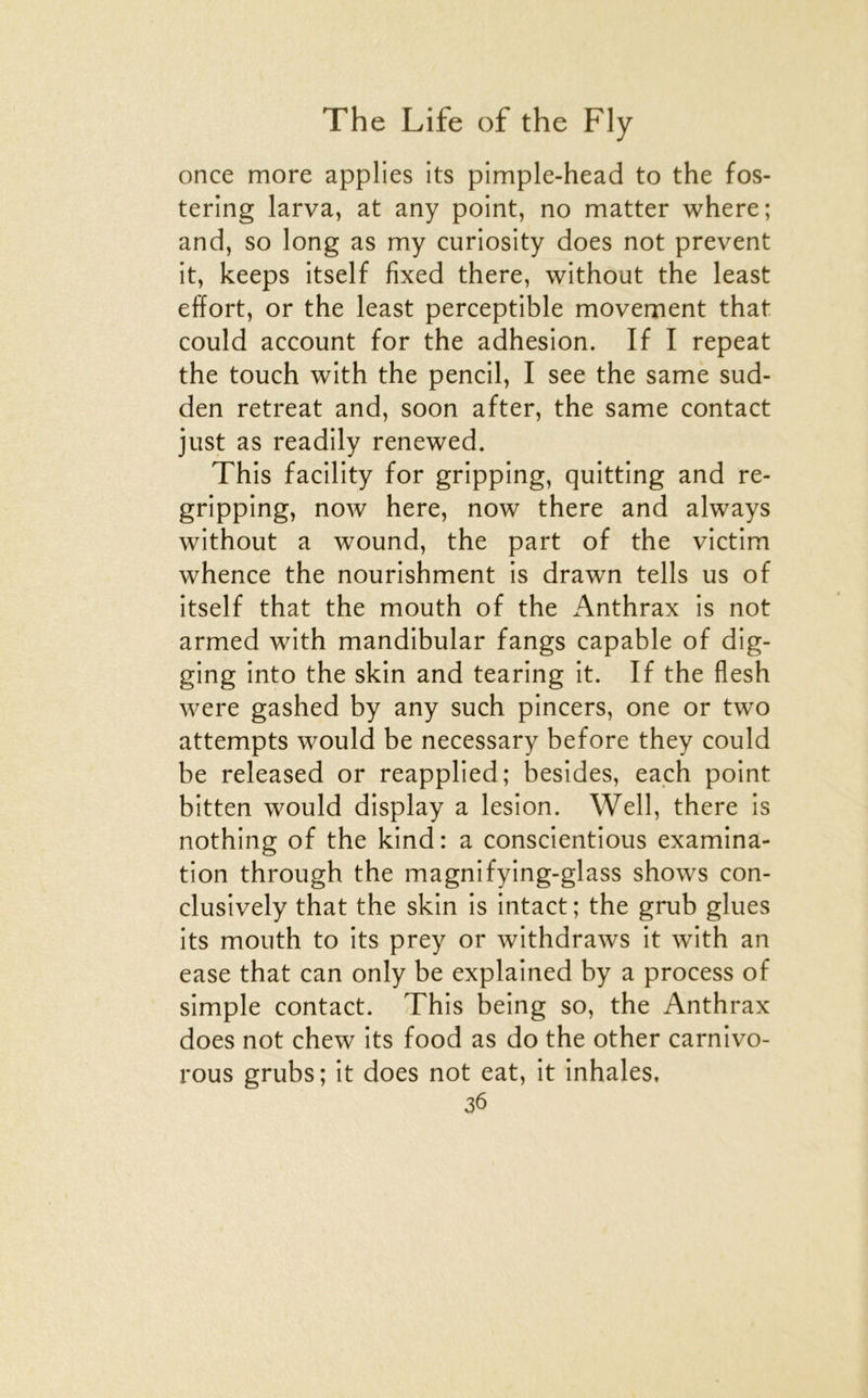 once more applies its pimple-head to the fos- tering larva, at any point, no matter where; and, so long as my curiosity does not prevent it, keeps itself fixed there, without the least effort, or the least perceptible movement that could account for the adhesion. If I repeat the touch with the pencil, I see the same sud- den retreat and, soon after, the same contact just as readily renewed. This facility for gripping, quitting and re- gripping, now here, now there and always without a wound, the part of the victim whence the nourishment is drawn tells us of itself that the mouth of the Anthrax is not armed with mandibular fangs capable of dig- ging into the skin and tearing it. If the flesh were gashed by any such pincers, one or two attempts would be necessary before they could be released or reapplied; besides, each point bitten would display a lésion. Well, there is nothing of the kind : a conscientious examina- tion through the magnifying-glass shows con- clusively that the skin is intact; the grub glues its mouth to its prey or withdraws it with an ease that can only be explained by a process of simple contact. This being so, the Anthrax does not chew its food as do the other carnivo- rous grubs ; it does not eat, it inhales,