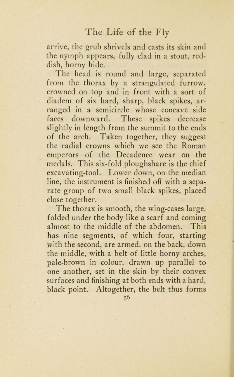 arrive, the grub shrivels and casts its skin and the nymph appears, fully clad in a stout, red- dish, horny hide. The head is round and large, separated from the thorax by a strangulated furrow, crowned on top and in front with a sort of diadem of six hard, sharp, black spikes, ar- ranged in a semicircle whose concave side faces downward. These spikes decrease slightly in length from the summit to the ends of the arch. Taken together, they suggest the radial crowns which we see the Roman emperors of the Decadence wear on the medals. This six-fold ploughshare is the chief excavating-tool. Lower down, on the médian line, the instrument is finished off with a sepa- rate group of two small black spikes, placed close together. The thorax is smooth, the wing-cases large, folded under the body like a scarf and coming almost to the middle of the abdomen. This has nine segments, of which four, starting with the second, are armed, on the back, down the middle, with a belt of little horny arches, pale-brown in colour, drawn up parallel to one another, set in the skin by their convex surfaces and finishing at both ends with a hard, black point. Altogether, the belt thus forms