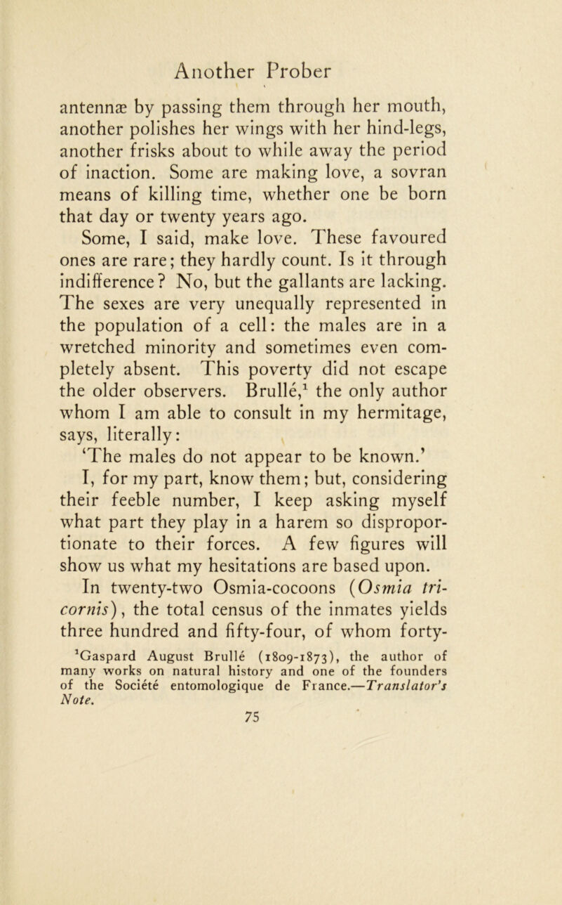 antennæ by passing them through her mouth, another polishes her wings with her hind-legs, another frisks about to while away the period of inaction. Some are making love, a sovran means of killing time, whether one be born that day or twenty years ago. Some, I said, make love. These favoured ones are rare; they hardly count. Is it through indifférence? No, but the gallants are lacking. The sexes are very unequally represented in the population of a cell: the males are in a wretched minority and sometimes even com- pletely absent. This poverty did not escape the older observers. Brullé,^ the only author whom I am able to consult in my hermitage, says, literally: ‘The males do not appear to be known.’ T, for my part, knovv them; but, considering their feeble number, I keep asking myself what part they play in a harem so dispropor- tionate to their forces. A few figures will show us what my hésitations are based upon. In twenty-two Osmia-cocoons {Osmia tri- cornis) ^ the total census of the inmates yields three hundred and fifty-four, of whom forty- ^Gaspard August Brullé (1809-1873), the author of many works on natural history and one of the founders of the Société entomologique de Fiance.—Translator's Note.