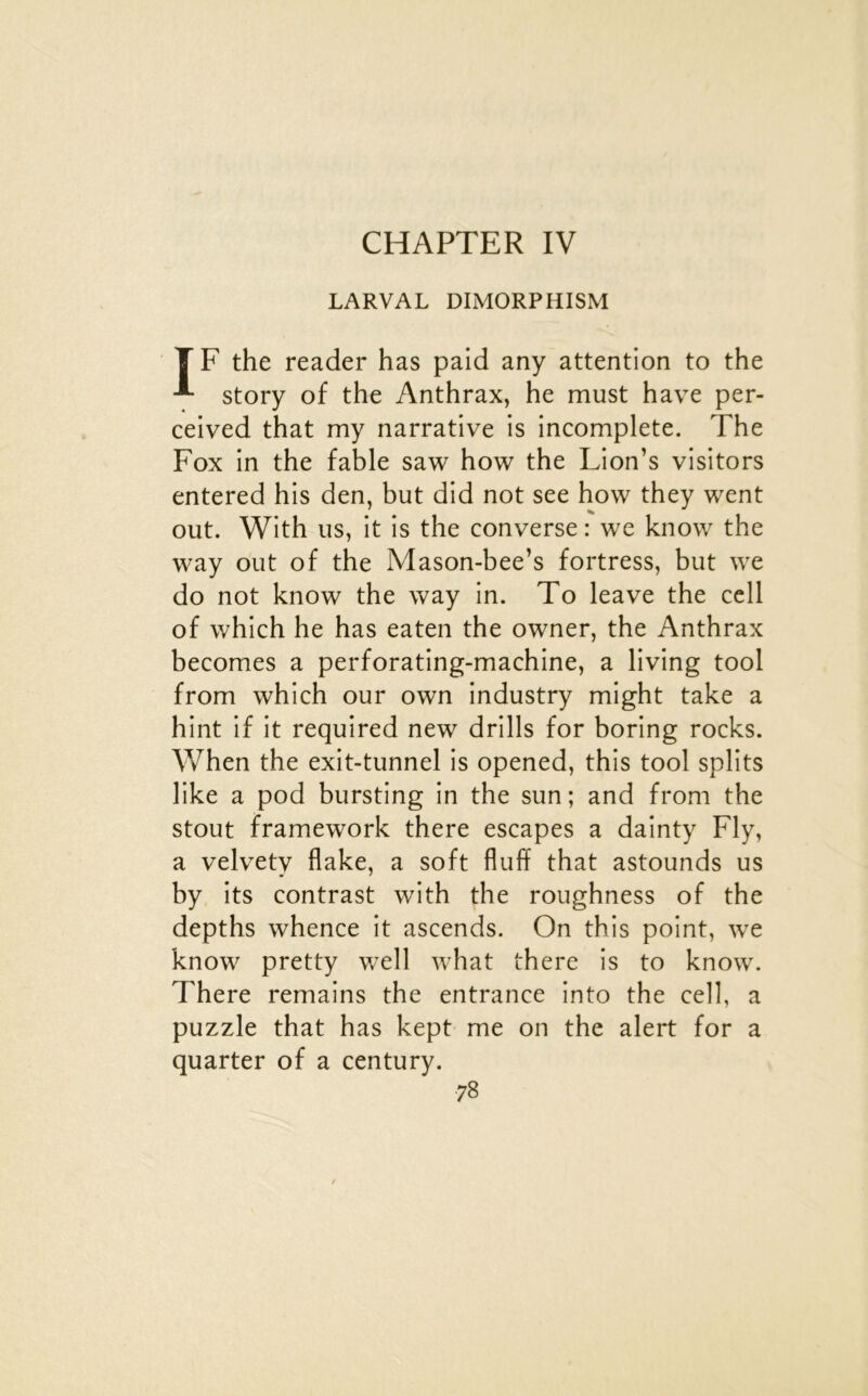 CHAPTER IV LARVAL DIMORPHISM TF the reader has paid any attention to the story of the Anthrax, he must hâve per- ceived that my narrative is incomplète. The Fox in the fable saw how the Lion’s visitors entered his den, but did not see how they went out. With us, it is the converse : we know the way out of the Mason-bee’s fortress, but we do not know the way in. To leave the cell of which he has eaten the owner, the Anthrax becomes a perforating-machine, a living tool from which our own industry might take a hint if it required new drills for boring rocks. When the exit-tunnel is opened, this tool splits like a pod bursting in the sun ; and from the stout framework there escapes a dainty Fly, a velvety flake, a soft fluff that astounds us by its contrast with the roughness of the depths whence it ascends. On this point, we know pretty w^ell what there is to know. There remains the entrance into the cell, a puzzle that has kept me on the alert for a quarter of a century.