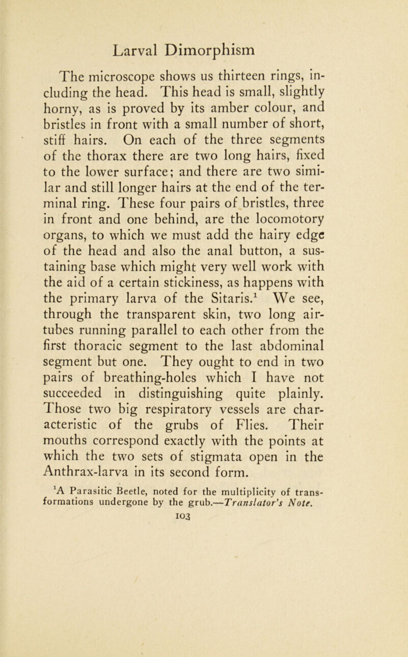 The microscope shows us thirteen rings, in- cluding the head. This head is small, slightly horny, as is proved by its amber colour, and bristles in front with a small number of short, stih hairs. On each of the three segments of the thorax there are two long hairs, fixed to the lower surface; and there are two simi- lar and still longer hairs at the end of the ter- minal ring. These four pairs of bristles, three in front and one behind, are the locomotory organs, to which we must add the hairy edgc of the head and also the anal button, a sus- taining base which might very well work with the aid of a certain stickiness, as happens with the primary larva of the Sitaris.^ We see, through the transparent skin, tw’o long air- tubes running parallel to each other from the first thoracic segment to the last abdominal segment but one. They ought to end in two pairs of breathing-holes which I hâve not succeeded in distinguishing quite plainly. Those two big respiratory vessels are char- acteristic of the grubs of Flies. Their mouths correspond exactly with the points at which the two sets of stigmata open in the Anthrax-larva in its second form. Parasitic Beetle, noted for the multiplicity of trans- formations undergone by the grub.—Translator’s Note.