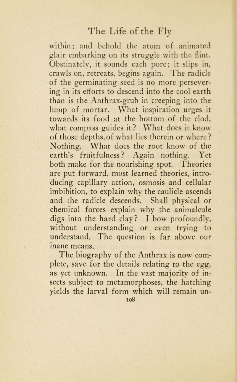 within; and behold the atom of animated glair embarking on its struggle with the flint. Obstinately, It sounds each pore; it slips in, crawls on, retreats, begins again. The radicle of the germinating seed is no more persever- ing in its efforts to descend into the cool earth than is the Anthrax-grub in creeping into the lump of mortar. What inspiration urges it towards its food at the bottom of the clod, what compass guides it? What does it know of those depths,of what lies therein or where? Nothing. What does the root know of the earth’s fruitfulness? Again nothing. Yet both make for the nourishing spot. Théories are put forward, most learned théories, intro- ducing capillary action, osmosis and cellular imbibition, to explain why the caulicle ascends and the radicle descends. Shall physical or Chemical forces explain why the animalcule digs into the hard clay? I bow profoundly, without understanding or even trying to understand. The question is far above our inane means. The biography of the Anthrax is now com- plété, save for the details relating to the egg, as yet unknown. In the vast majority of in- sects subject to métamorphosés, the hatching yields the larval form which will remain un- io8