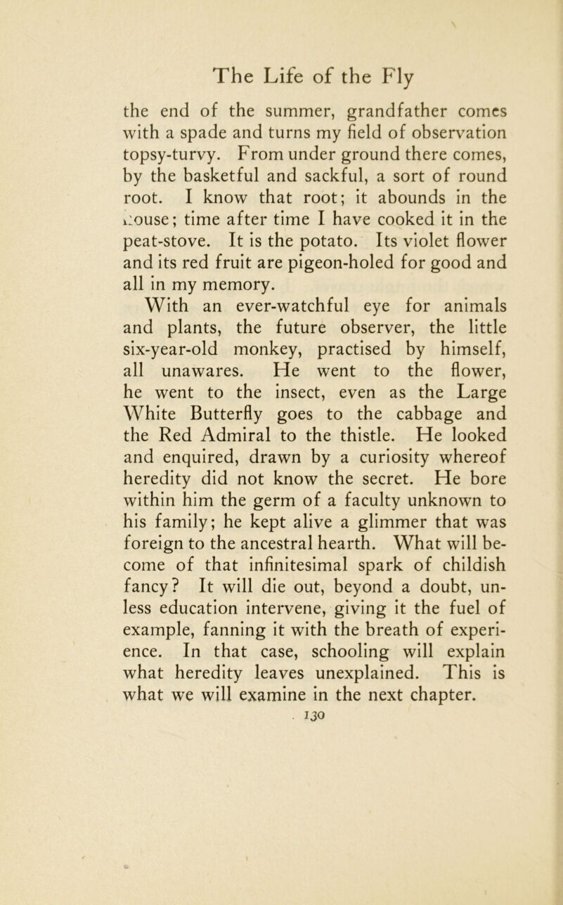 the end of the summer, grandfather cornes with a spade and turns my field of observation topsy-turvy. From under ground there cornes, by the basketful and sackful, a sort of round root. I know that root; it abounds in the iiouse; time after time I bave cooked it in the peat-stove. It is the potato. Its violet flower and its red fruit are pigeon-holed for good and ail in my memory. With an ever-watchful eye for animais and plants, the future observer, the little six-year-old monkey, practised by himself, ail unawares. He went to the flower, he went to the insect, even as the Large White Butterfly goes to the cabbage and the Red Admirai to the thistle. He looked and enquired, drawn by a curiosity whereof heredity did not know the secret. He bore within him the germ of a faculty unknown to his family; he kept alive a glimmer that was foreign to the ancestral hearth. What will be- come of that infinitésimal spark of childish fancy? It will die out, beyond a doubt, un- less éducation intervene, giving it the fuel of example, fanning it with the breath of expéri- ence. In that case, schooling will explain what heredity leaves unexplained. This is what we will examine in the next chapter.