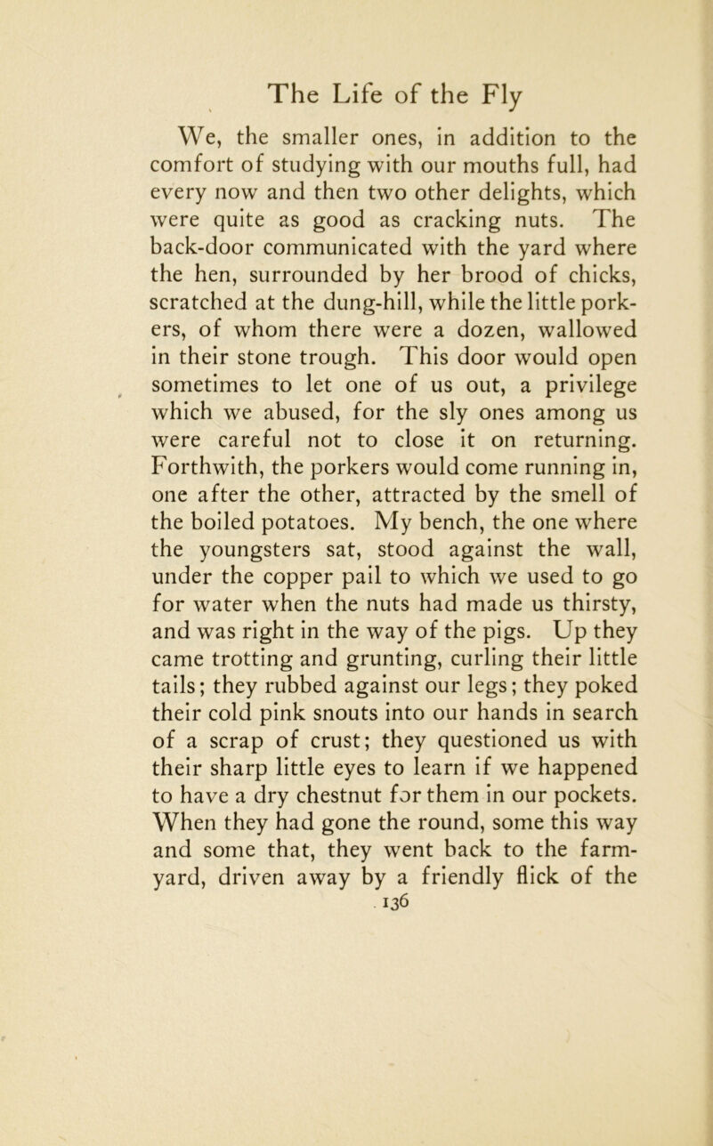 We, the smaller ones, in addition to the comfort of studying with our mouths full, had every now and then two other delights, which were quite as good as cracking nuts. The back-door communicated with the yard where the hen, surrounded by her brood of chicks, scratched at the dung-hill, while the little pork- ers^ of whom there were a dozen, wallowed in their stone trough. This door would open sometimes to let one of us out, a privilège which we abused, for the sly ones among us were careful not to close it on returning. Forthwith, the porkers would corne running in, one after the other, attracted by the smell of the boiled potatoes. My bench, the one where the youngsters sat, stood against the wall, under the copper pail to which we used to go for water when the nuts had made us thirsty, and was right in the way of the pigs. Up they came trotting and grunting, curling their little tails; they rubbed against our legs; they poked their cold pink snouts into our hands in search of a scrap of crust; they questioned us with their sharp little eyes to learn if we happened to hâve a dry chestnut for them in our pockets. When they had gone the round, some this way and some that, they went back to the farm- yard, driven away by a friendly flick of the