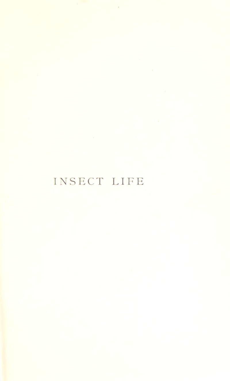 INSECT LIFE