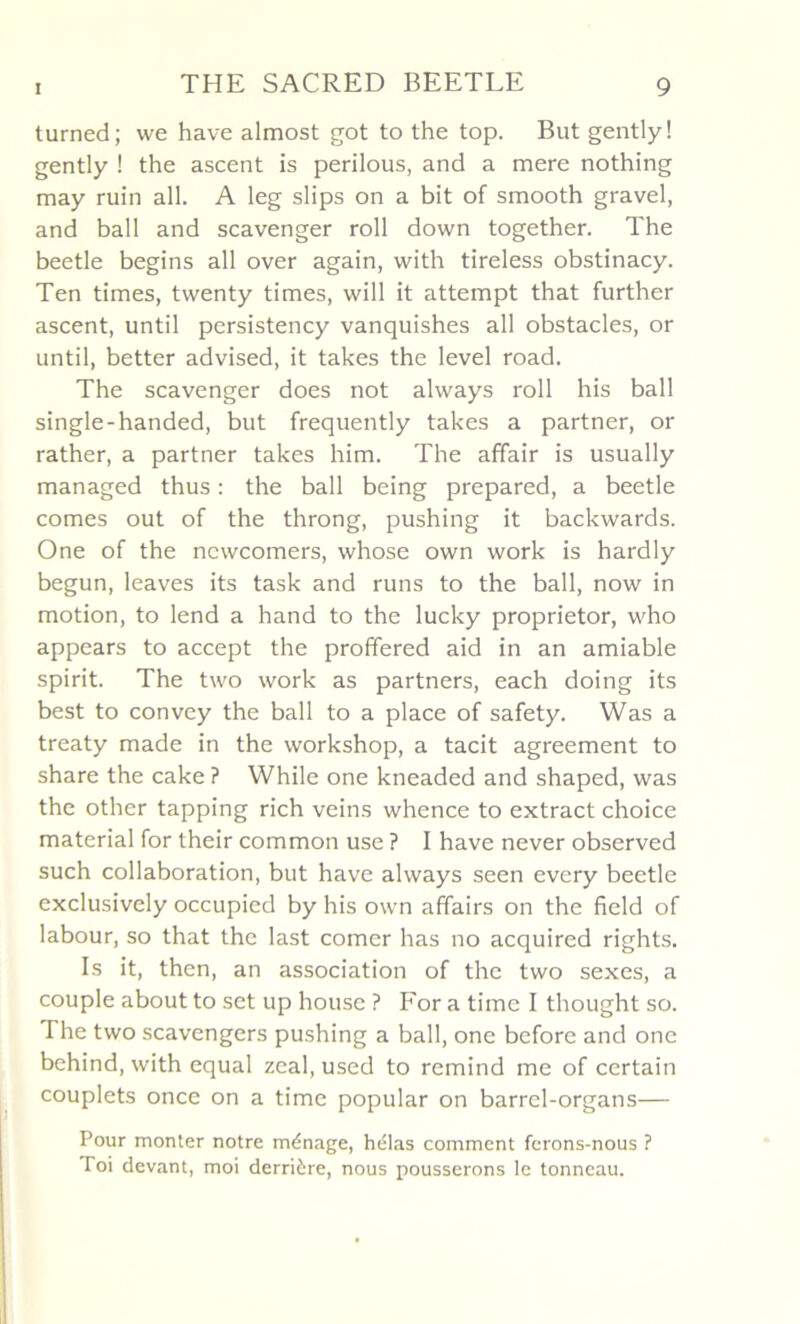 turned; we hâve almost got to the top. But gently! gently ! the ascent is perilous, and a mere nothing may ruin ail. A leg slips on a bit of smooth gravel, and bail and scavenger roll down together. The beetle begins ail over again, with tireless obstinacy. Ten times, twenty times, vvill it attempt that further ascent, until persistency vanquishes ail obstacles, or until, better advised, it takes the level road. The scavenger does not ahvays roll his bail single-handed, but frequently takes a partner, or rather, a partner takes him. The affair is usually managed thus : the bail being prepared, a beetle cornes out of the throng, pushing it backwards. One of the ncwcomers, whose own work is hardly begun, leaves its task and runs to the bail, now in motion, to lend a hand to the lucky proprietor, who appears to accept the proffered aid in an amiable spirit. The two work as partners, each doing its best to convey the bail to a place of safety. Was a treaty made in the workshop, a tacit agreement to share the cake ? While one kneaded and shaped, was the other tapping rich veins whence to extract choice material for their common use ? I hâve never observed such collaboration, but hâve always seen every beetle exclusively occupied by his own affairs on the field of labour, so that the last corner has no acquired rights. Is it, then, an association of the two sexes, a couple about to set up housc ? For a time I thought so. The two scavengers pushing a bail, one bcforc and one behind, with equal zcal, used to remind me of certain couplets once on a time popular on barrcl-organs— Pour monter notre ménage, hélas comment ferons-nous ? Toi devant, moi derrière, nous pousserons le tonneau.