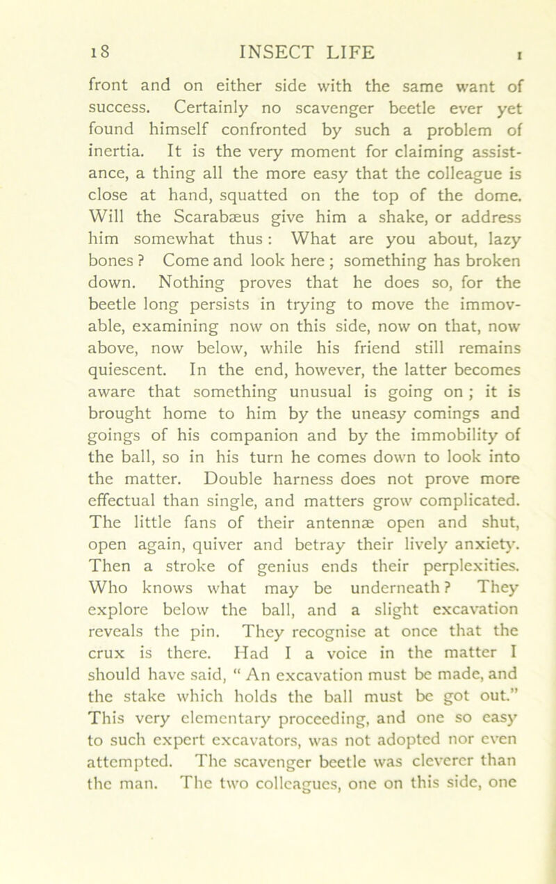 i front and on either side with the same want of success. Certainly no scavenger beetle ever yet found himself confronted by such a problem of inertia. It is the very moment for claiming assist- ance, a thing ail the more easy that the colleague is close at hand, squatted on the top of the dôme. Will the Scarabæus give him a shake, or address him somewhat thus : What are you about, lazy bones ? Corne and look here ; something has broken down. Nothing proves that he does so, for the beetle long persists in trying to move the immov- able, examining now on this side, now on that, now above, now below, while his friend still remains quiescent. In the end, however, the latter becomes aware that something unusual is going on ; it is brought home to him by the uneasy comings and goings of his companion and by the immobility of the bail, so in his turn he cornes down to look into the matter. Double harness does not prove more effectuai than single, and matters grow complicated. The little fans of their antennæ open and shut, open again, quiver and betray their lively anxiety. Then a stroke of genius ends their perplexities. Who knows what may be underneath ? They explore below the bail, and a slight excavation reveals the pin. They recognise at once that the crux is there. Had I a voice in the matter I should hâve said, “ An excavation must be made, and the stake which holds the bail must bc got out.” This very elementary procceding, and one so easy to such expert excavators, was not adopted nor even attempted. The scavenger beetle was eleverer than the man. The two collcagues, one on this side, one