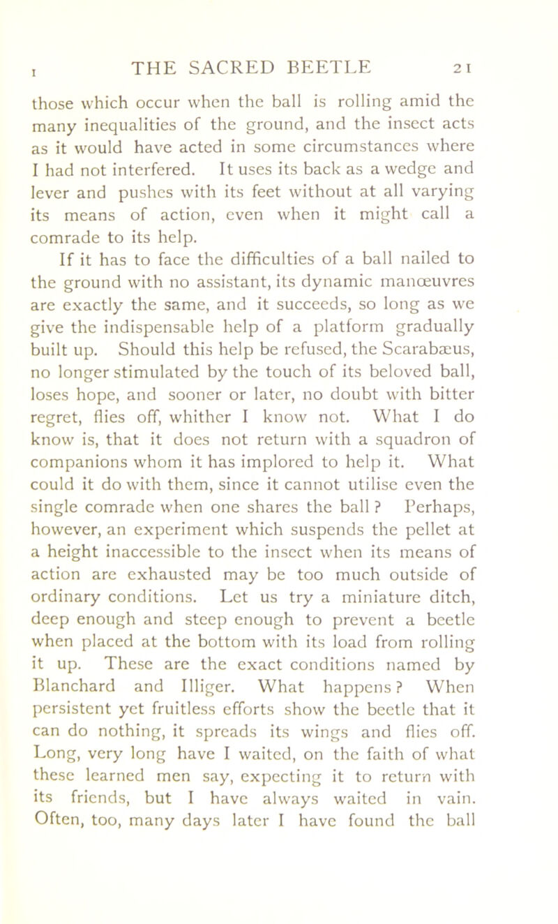 those vvhich occur when the bail is rolling amid the many inequalities of the ground, and the insect acts as it vvould hâve acted in some circumstances where I had not interfered. It uses its back as a wedge and lever and pushes vvith its feet without at ail varying its means of action, even when it might call a comrade to its help. If it has to face the difficulties of a bail nailed to the ground with no assistant, its dynamic manœuvres are exactly the same, and it succeeds, so long as we give the indispensable help of a platform gradually built up. Should this help be refused, the Scarabæus, no longer stimulated by the touch of its beloved bail, loses hope, and sooner or later, no doubt with bitter regret, Aies off, whither I know not. What I do know is, that it does not return with a squadron of companions whom it has implored to help it. What could it do with them, since it cannot utilise even the single comrade when one shares the bail ? Perhaps, however, an experiment which suspends the pellet at a height inaccessible to the insect when its means of action are exhausted may be too much outside of ordinary conditions. Let us try a miniature ditch, deep enough and steep enough to prevent a beetle when placed at the bottom with its load from rolling it up. These are the exact conditions named by Blanchard and Illiger. What happens ? When persistent yet fruitless efforts show the beetle that it can do nothing, it spreads its wings and Aies off. Long, vcry long hâve I waited, on the faith of what these learned men say, expecting it to return with its fricnds, but I hâve always waited in vain. Often, too, many days later I hâve found the bail
