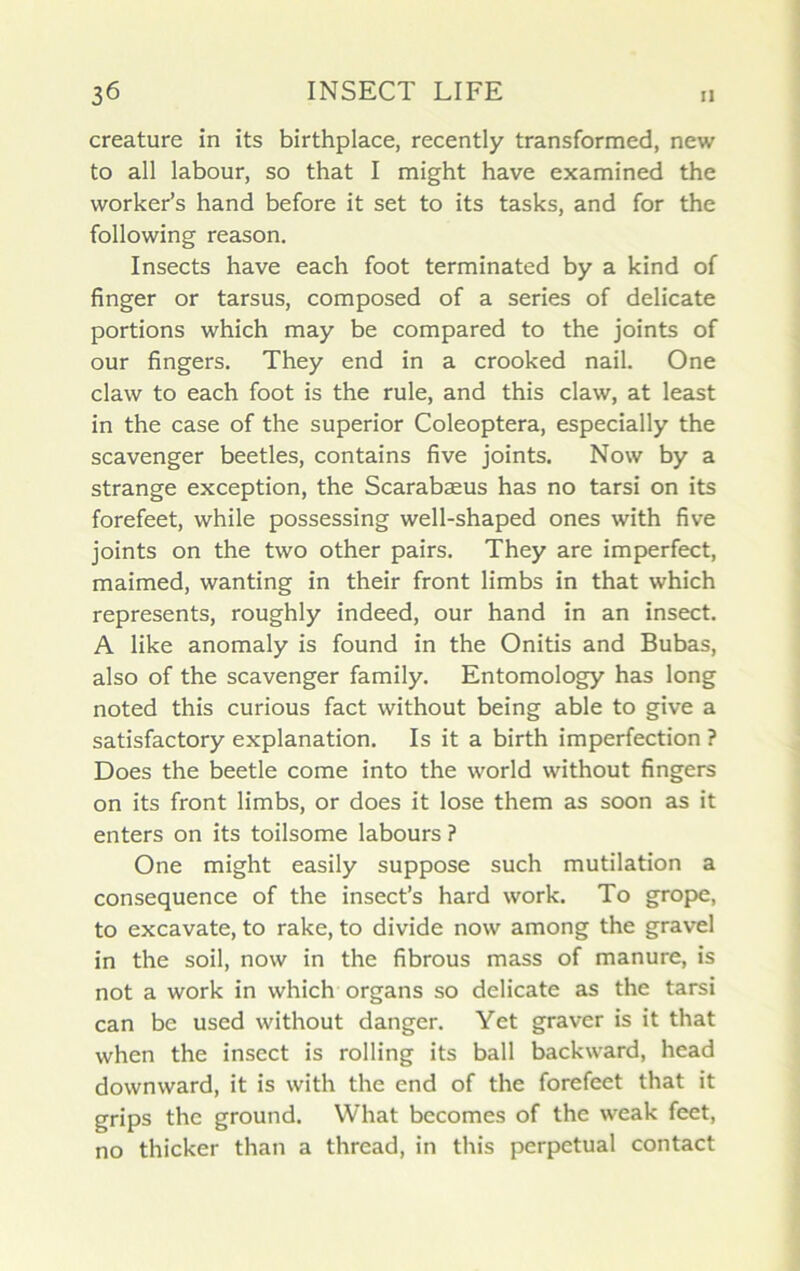 créature in its birthplace, recently transformed, new to ail labour, so that I might hâve examined the worker’s hand before it set to its tasks, and for the following reason. Insects hâve each foot terminated by a kind of finger or tarsus, composed of a sériés of délicate portions which may be compared to the joints of our fingers. They end in a crooked nail. One claw to each foot is the rule, and this claw, at least in the case of the superior Coleoptera, especially the scavenger beetles, contains five joints. Now by a strange exception, the Scarabæus has no tarsi on its forefeet, while possessing well-shaped ones with five joints on the two other pairs. They are imperfect, maimed, wanting in their front limbs in that which represents, roughly indeed, our hand in an insect. A like anomaly is found in the Onitis and Bubas, also of the scavenger family. Entomology has long noted this curious fact without being able to give a satisfactory explanation. Is it a birth imperfection ? Does the beetle corne into the world without fingers on its front limbs, or does it lose them as soon as it enters on its toilsome labours ? One might easily suppose such mutilation a conséquence of the insect’s hard work. To grope, to excavate, to rake, to divide now among the gravel in the soil, now in the fibrous mass of manure, is not a work in which organs so délicate as the tarsi can be used without danger. Yet graver is it that when the insect is rolling its bail backward, head downward, it is with the end of the forefeet that it grips the ground. What becomes of the weak feet, no thicker than a thread, in this perpétuai contact