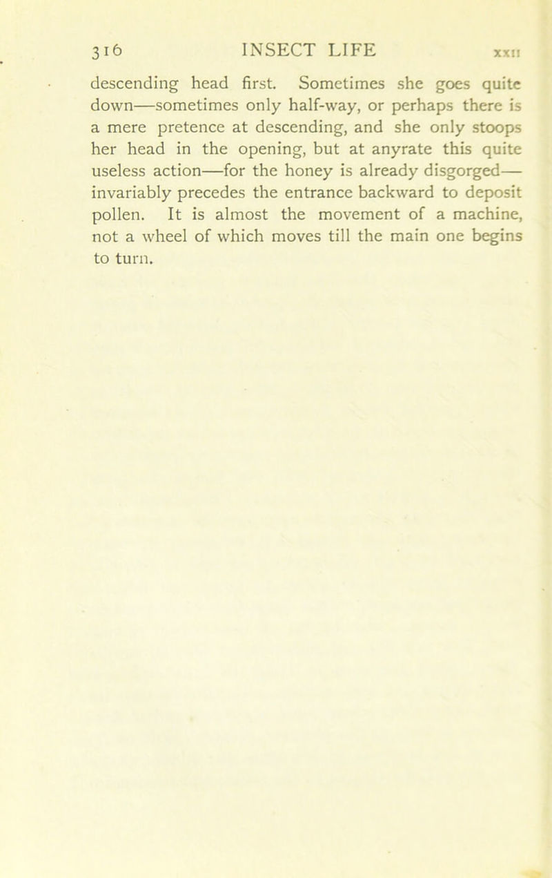 descending head first. Sometimes she goes quitc down—sometimes only half-way, or perhaps there is a mere pretence at descending, and she only stoops her head in the opening, but at anyrate this quite useless action—for the honey is already disgorged— invariably précédés the entrance backward to deposit pollen. It is almost the movement of a machine, not a wheel of which moves till the main one begins to turn.