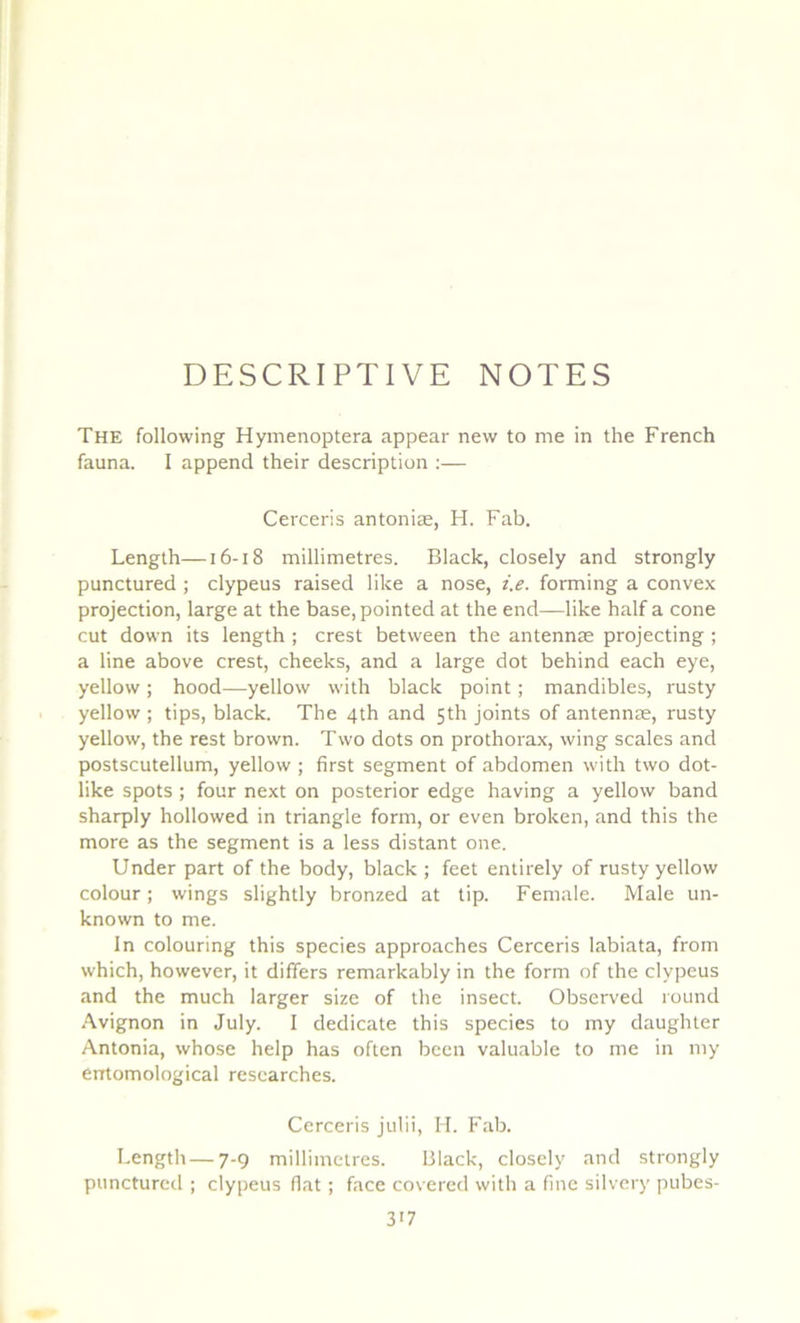 DESCRIPTIVE NOTES The following Hymenoptera appear new to me in the French fauna. I append their description :— Cerceris antoniæ, H. Fab. Length—16-18 millimétrés. Black, closely and strongly punctured ; clypeus raised like a nose, i.e. forming a convex projection, large at the base,pointed at the end—like half a cône eut down its length ; crest betvveen the antennæ projecting ; a line above crest, cheeks, and a large dot behind each eye, yellow ; hood—yellow with black point ; mandibles, rusty yellow ; tips, black. The 4th and 5th joints of antennæ, rusty yellow, the rest brown. Two dots on prothorax, wing scales and postscutellum, yellow ; first segment of abdomen with two dot- like spots ; four next on posterior edge having a yellow band sharply hollowed in triangle form, or even broken, and this the more as the segment is a less distant one. Under part of the body, black ; feet entirely of rusty yellow colour ; wings slightly bronzed at tip. Female. Male un- known to me. In colouring this species approaches Cerceris labiata, frorn which, however, it differs remarkably in the form of the clypeus and the much larger size of the insect. Observed round Avignon in July. I dedicate this species to my daughter Antonia, whose help has often been valuable to me in my errtomological rescarches. Cerceris julii, H. Fab. Length—7-9 millimétrés. Black, closely and strongly punctured ; clypeus fiat ; face covered with a fine silvery pubes-