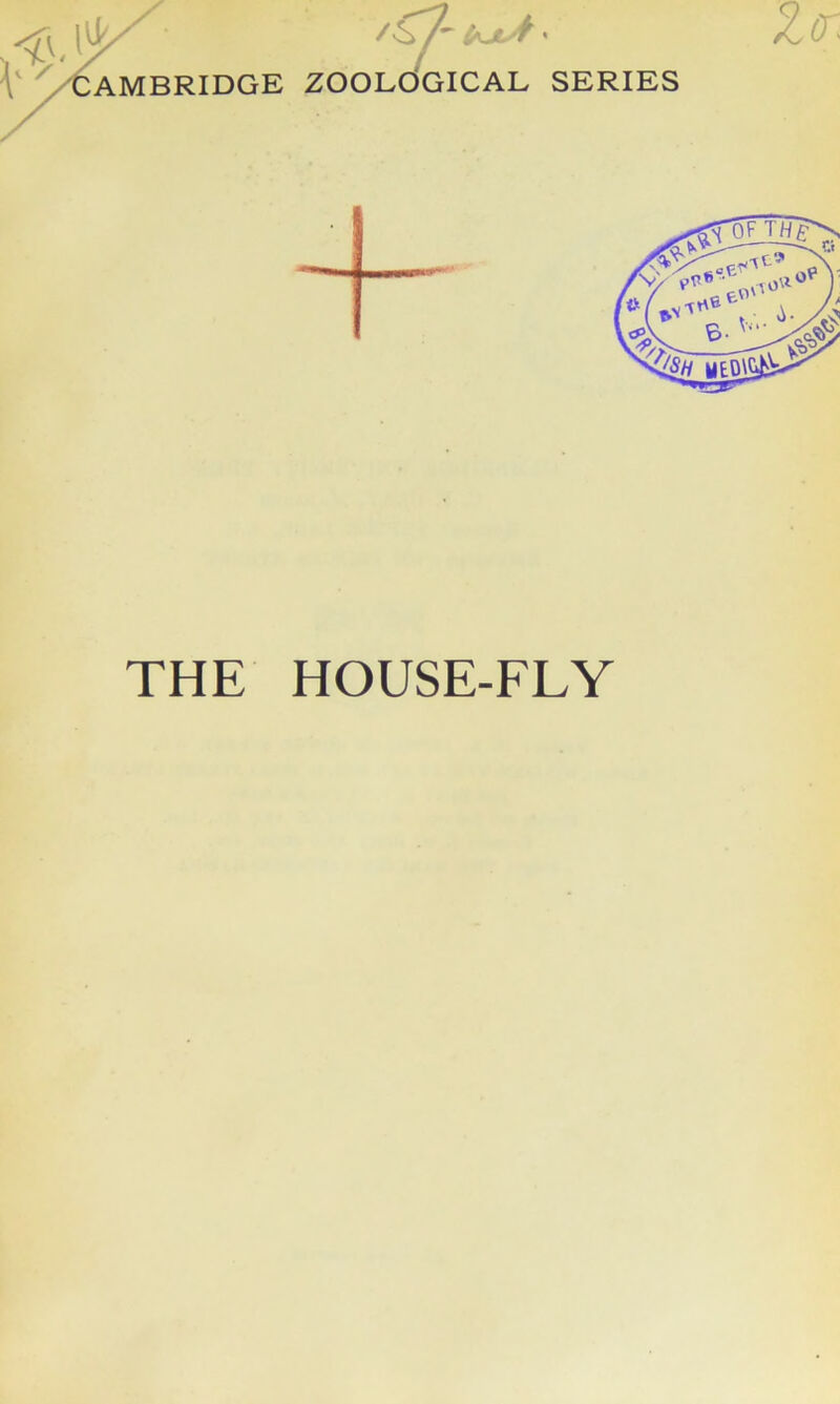 THE HOUSE-FLY