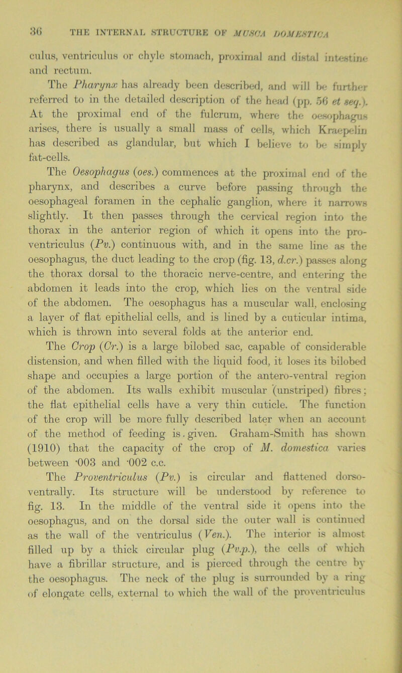 cuius, ventriculus or chyle stomach, proximal and distal intestine and rectum. The Pharynx has already been described, and will be further referred to in the detailed description of the head (pp. 56 et tea.). At the proximal end of the fulcrum, where the oesophagus arises, there is usually a small mass of cells, which Kraepelin has described as glandular, but which I believe to be simply fat-cells. The Oesophagus (oes.) commences at the proximal end of the pharynx, and describes a curve before passing through the oesophageal foramen in the cephalic ganglion, where it narrows slightly. It then passes through the cervical region into the thorax in the anterior region of which it opens into the pro- ventriculus (Pv.) continuous with, and in the same line as the oesophagus, the duct leading to the crop (fig. 13, d.cr.) passes along the thorax dorsal to the thoracic nerve-centre, and entering the abdomen it leads into the crop, which lies on the ventral side of the abdomen. The oesophagus has a muscular wall, enclosing a layer of flat epithelial cells, and is lined by a cuticular intima, which is thrown into several folds at the anterior end. The Crop (Gr.) is a large bilobed sac, capable of considerable distension, and when filled with the liquid food, it loses its bilobed shape and occupies a large portion of the antero-ventral region of the abdomen. Its walls exhibit muscular (unstriped) fibres; the fiat epithelial cells have a very thin cuticle. The function of the crop will be more fully described later when an account of the method of feeding is. given. Graham-Smith has shown (1910) that the capacity of the crop of M. domestica varies between '003 and ’002 c.c. The Proventriculus (Pv.) is circular and flattened dorso- ventrally. Its structure will be understood by reference to fig. 13. In the middle of the ventral side it opens into the oesophagus, and on the dorsal side the outer wall is continued as the wall of the ventriculus (Veil.). The interior is almost filled up by a thick circular plug (Pv.p.), the cells of which have a fibrillar structure, and is pierced through the centre by the oesophagus. The neck of the plug is surrounded by a ring of elongate cells, external to which the wall of the proventriculus