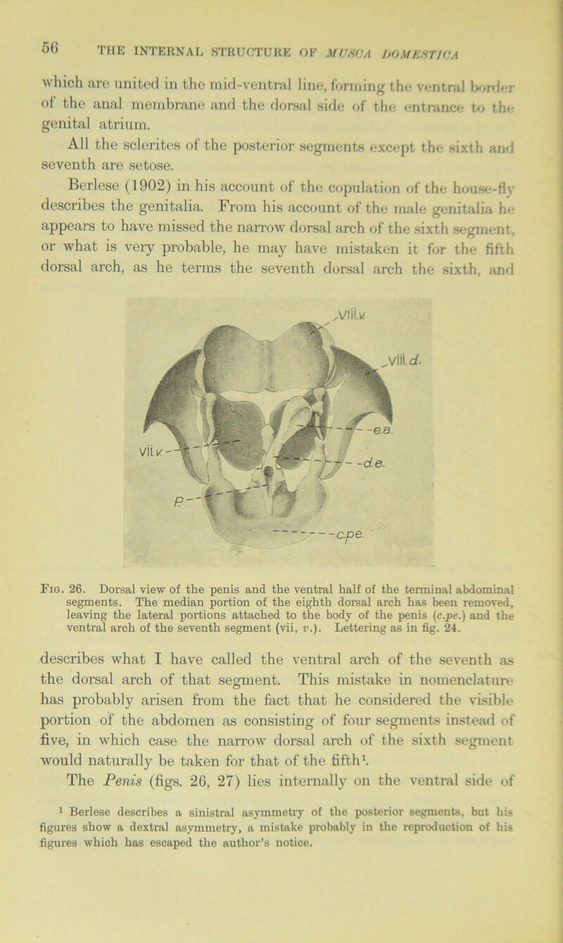 which are united in the mid-ventral line, forming the ventral border of the anal membrane and the dorsal side of the entrance to the genital atrium. All the sclerites of the posterior segments except the sixth and seventh are setose. Berlese (1902) in his account of the copulation of the house-flv describes the genitalia. From his account of the male genitalia he appears to have missed the narrow dorsal arch of the sixth segment, or what is very probable, he may have mistaken it for the fifth dorsal arch, as he terms the seventh dorsal arch the sixth, and Fig. 26. Dorsal view of the penis and the ventral half of the terminal abdominal segments. The median portion of the eighth dorsal arch has been removed, leaving the lateral portions attached to the body of the penis (c.pc.) and the ventral arch of the seventh segment (vii, v.). Lettering as in fig. 24. describes what I have called the ventral arch of the seventh as the dorsal arch of that segment. This mistake in nomenclature has probably arisen from the fact that he considered the visible portion of the abdomen as consisting of four segments instead of five, in which case the narrow dorsal arch of the sixth segment would naturally be taken for that of the fifth1. The Penis (figs. 26, 27) lies internally on the ventral side of 1 Berlese describes a sinistral asymmetry of the posterior segments, but his figures show a dextral asymmetry, a mistake probably in the reproduction of his figures which has escaped the author’s notice.